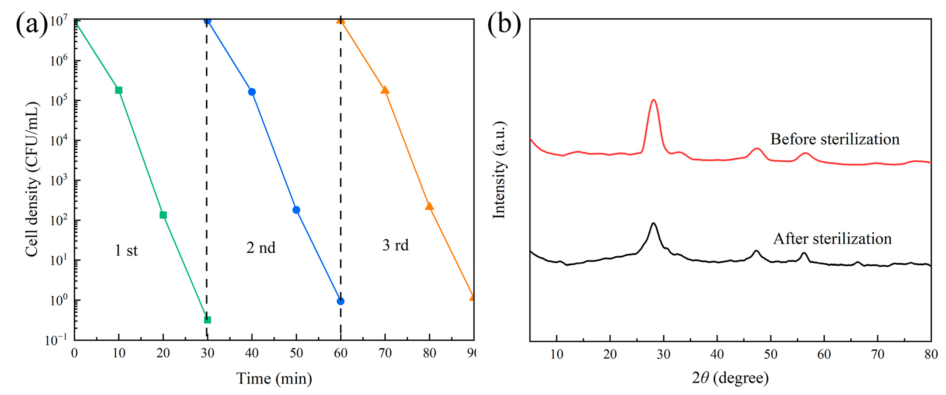 Molecules 29 05557 g010 Molecules 29 05557 g010
