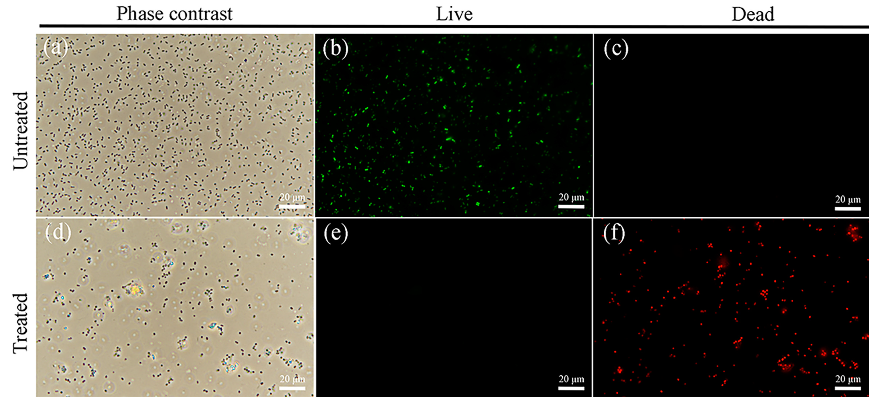 Molecules 29 05557 g014 Molecules 29 05557 g014
