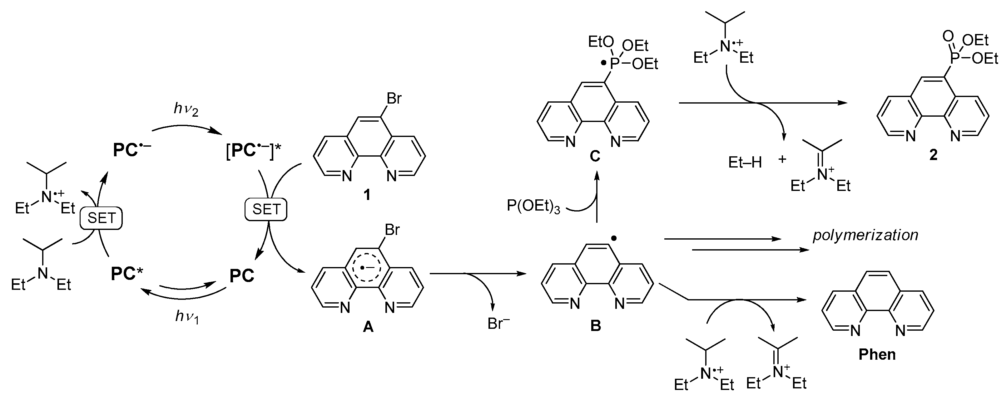 Molecules 29 05558 sch006