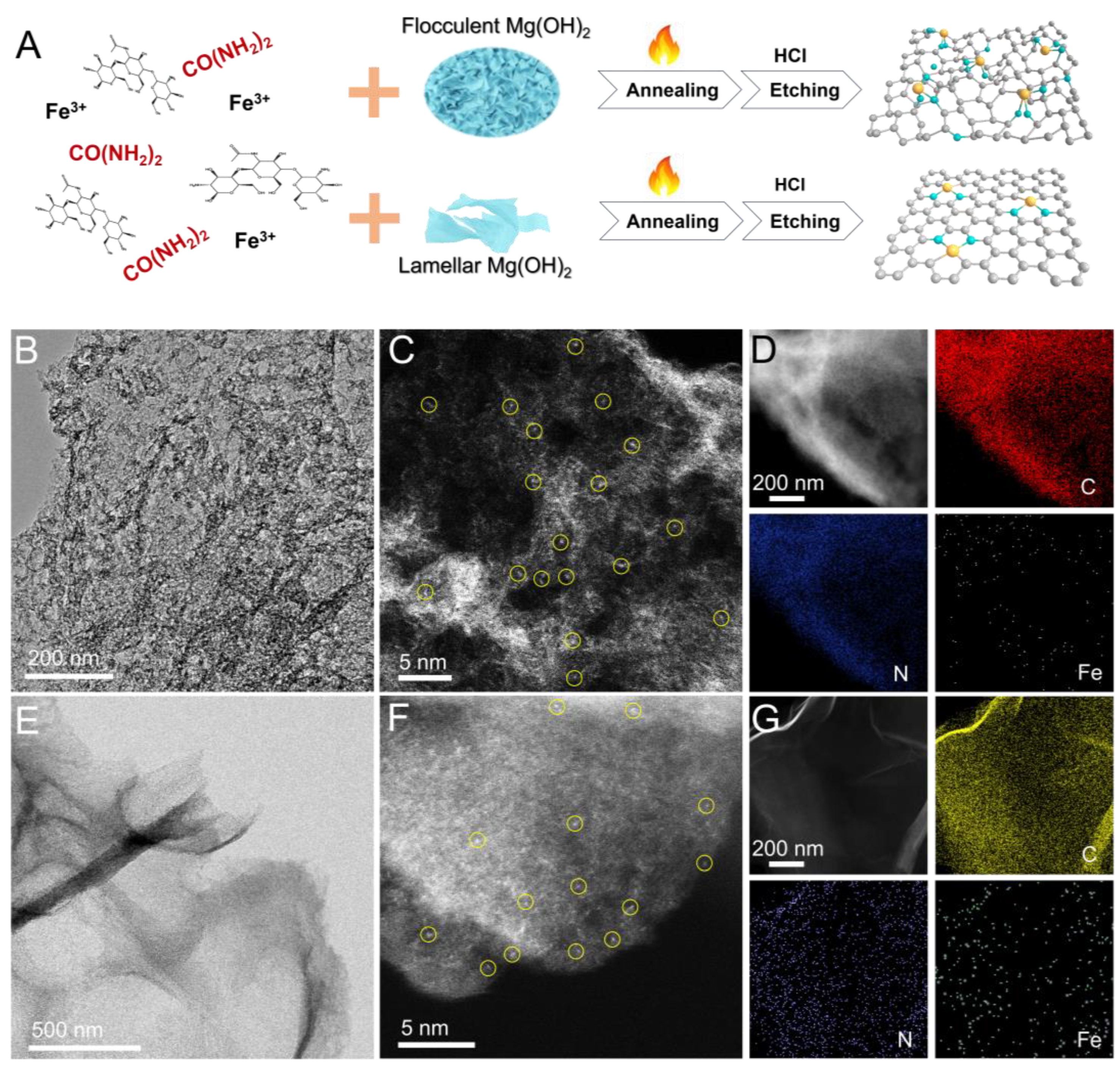 Molecules 29 05561 g001