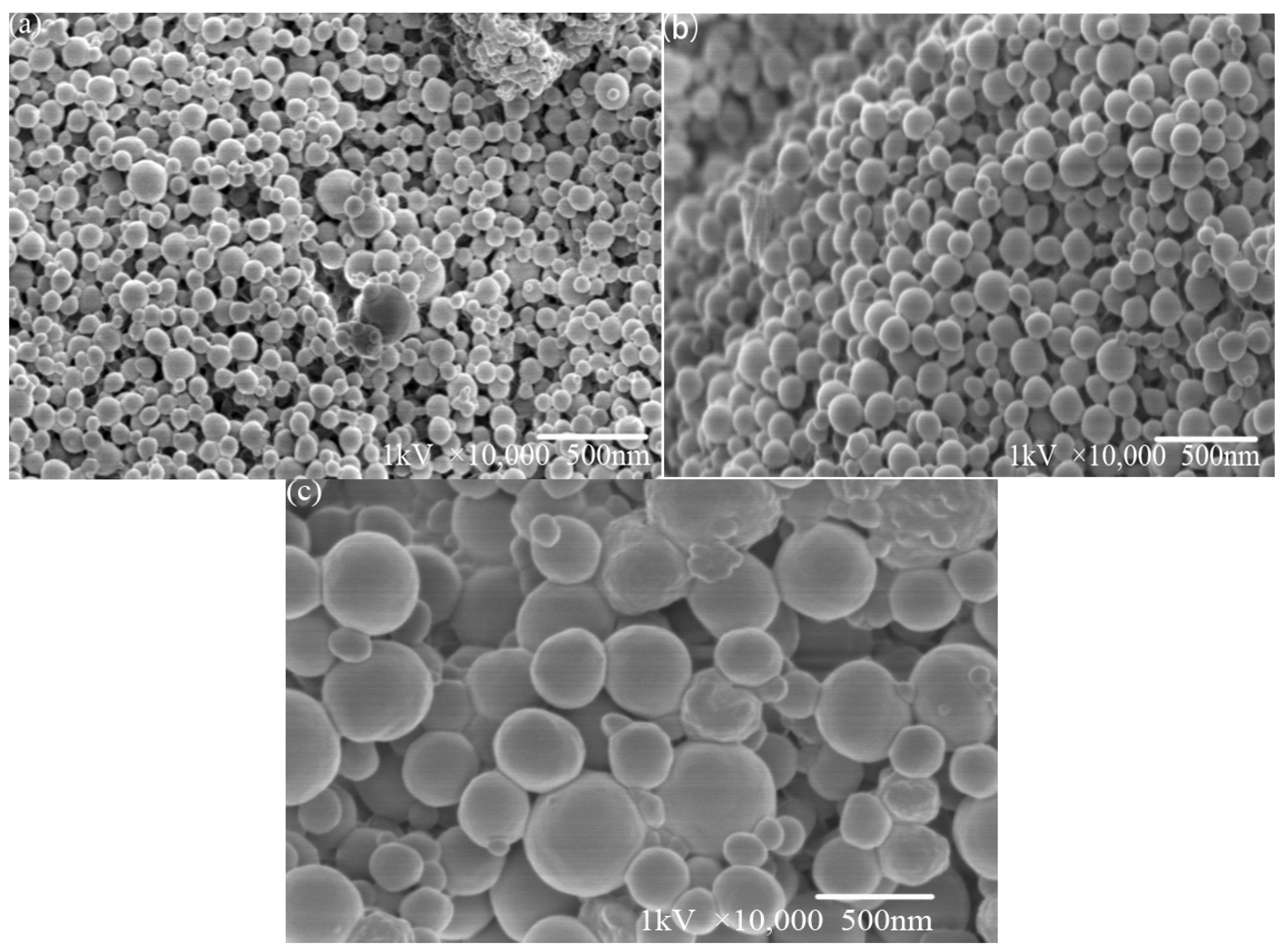 Molecules 29 05566 g005 Molecules 29 05566 g005