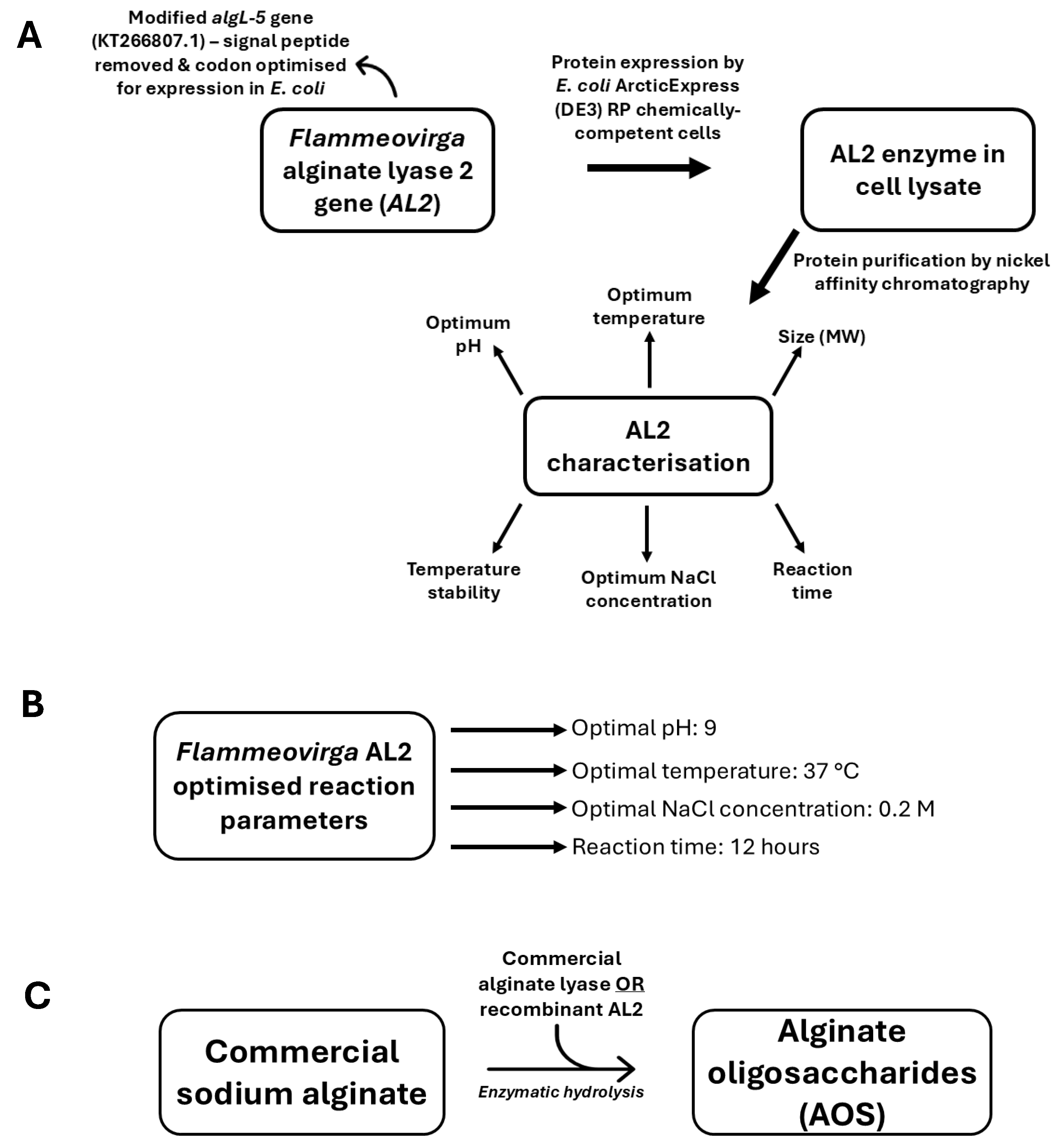 Molecules 29 05578 g001