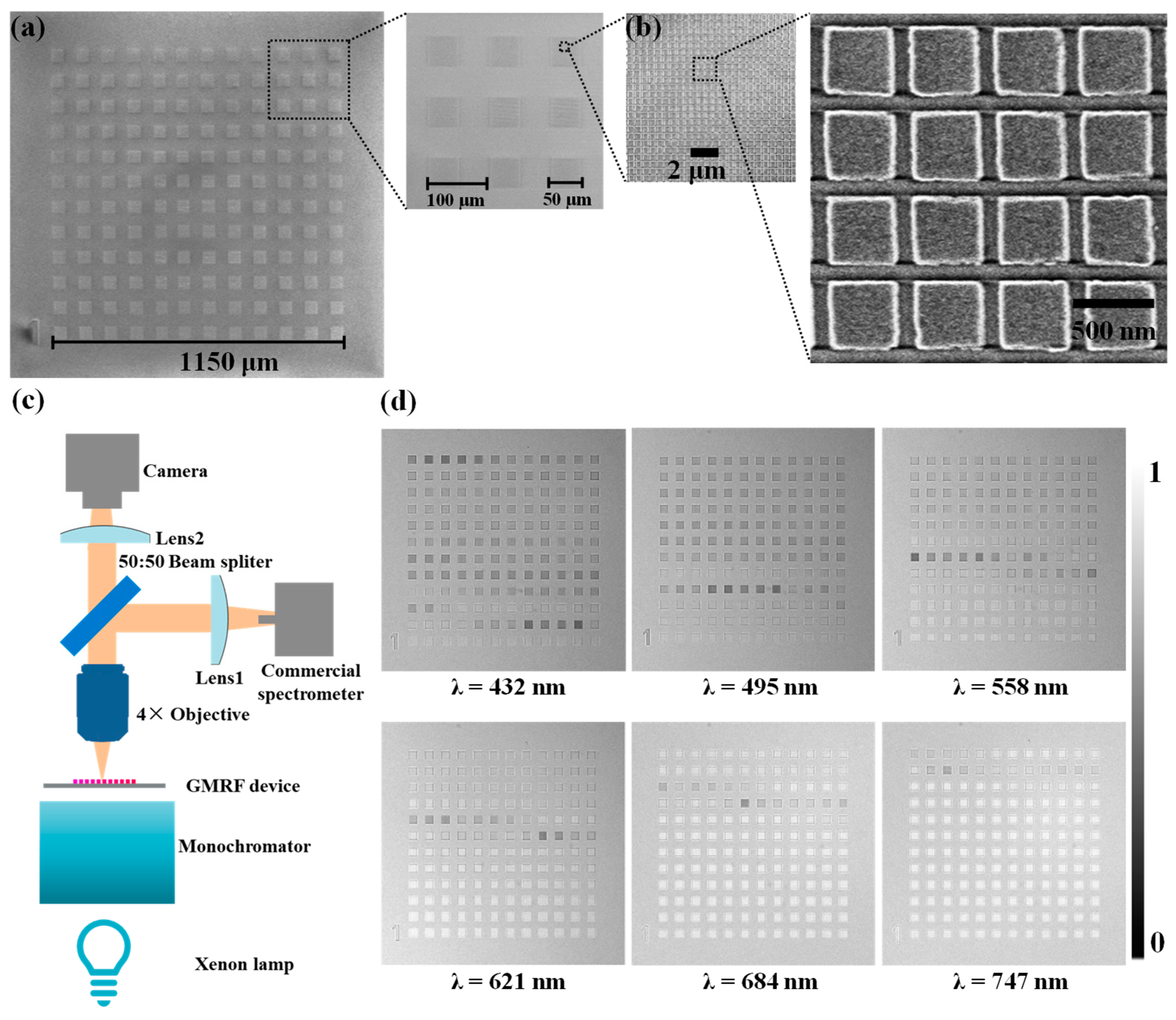 Molecules 29 05580 g002