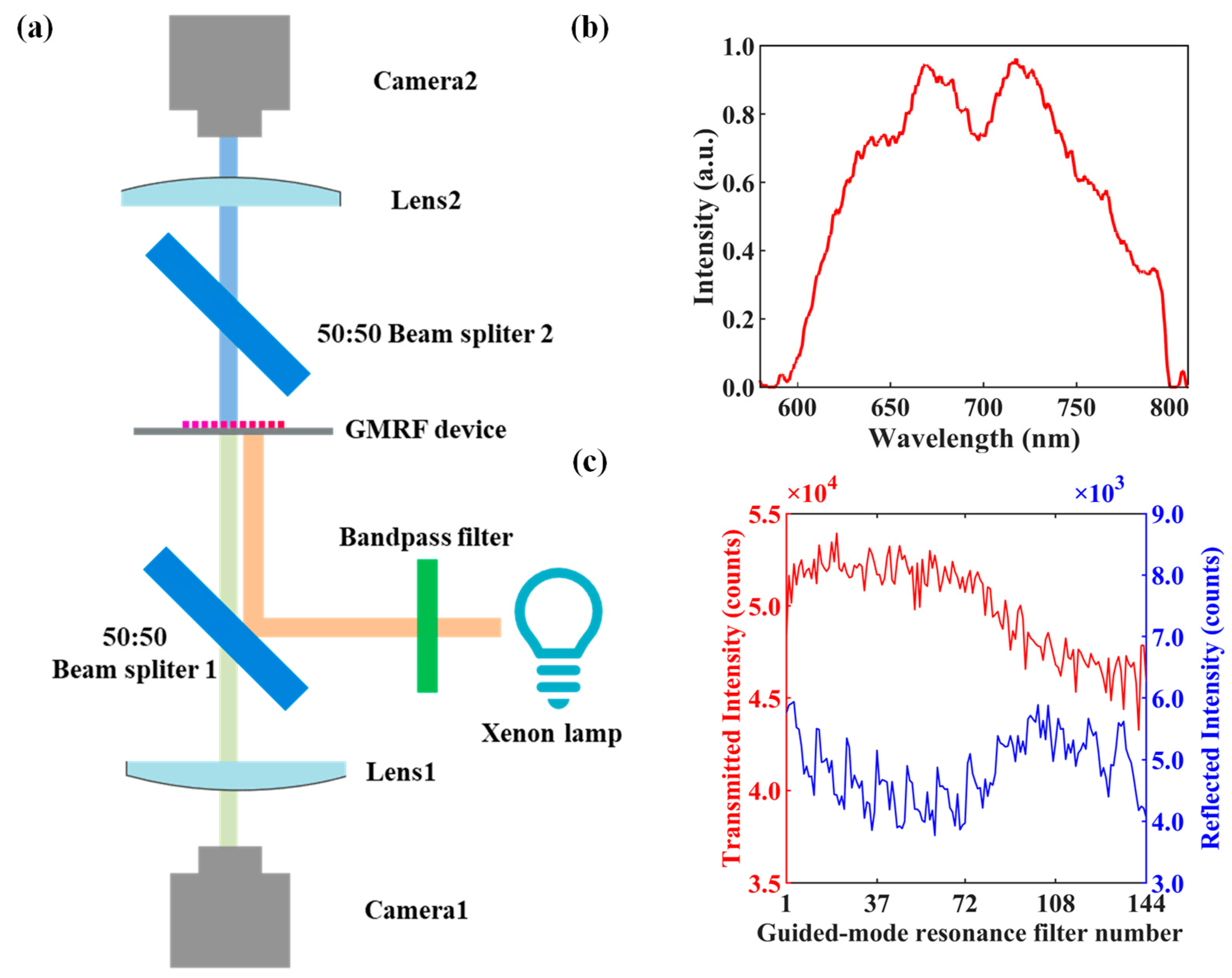 Molecules 29 05580 g003