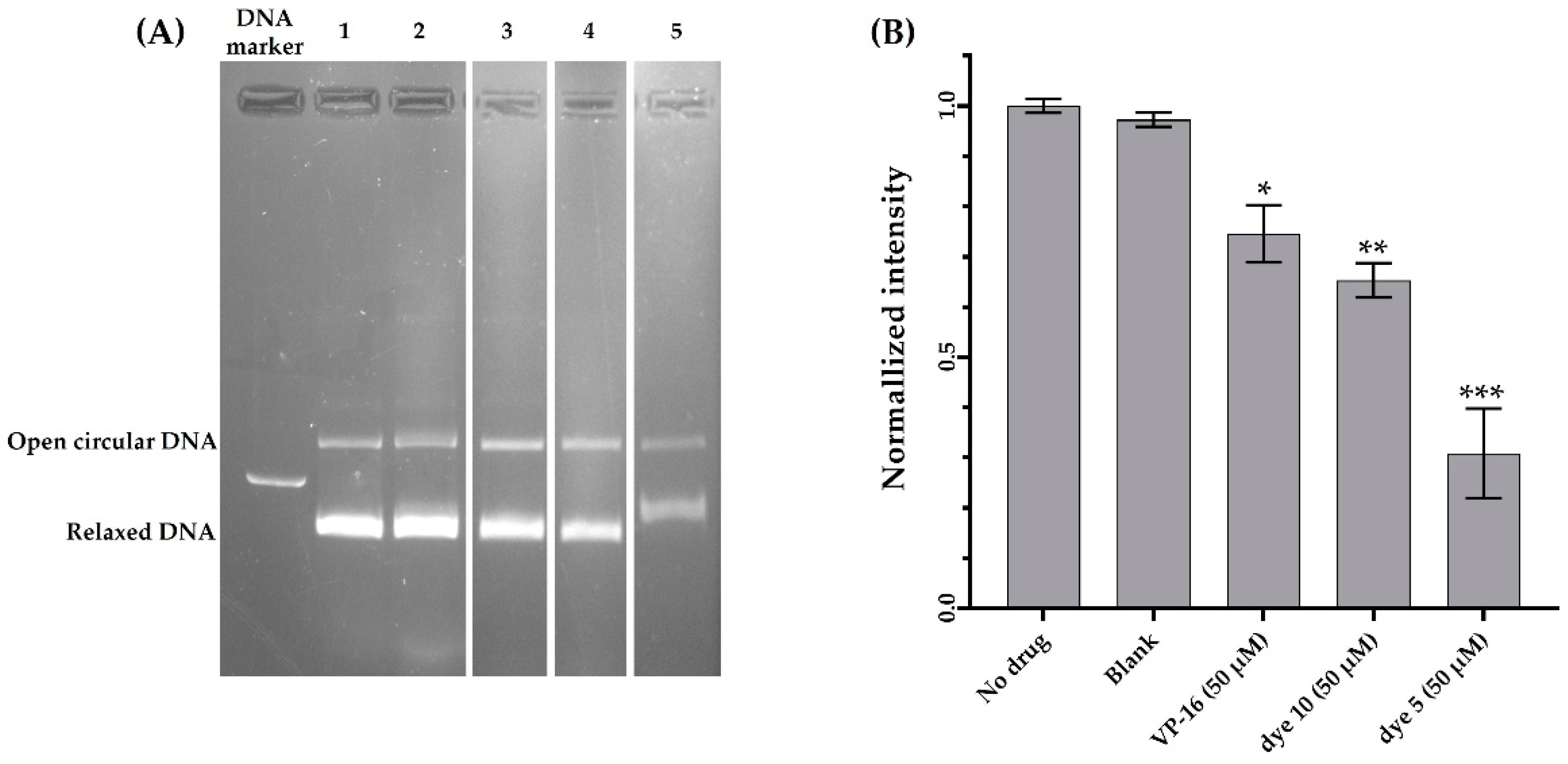 Molecules 29 05581 g008