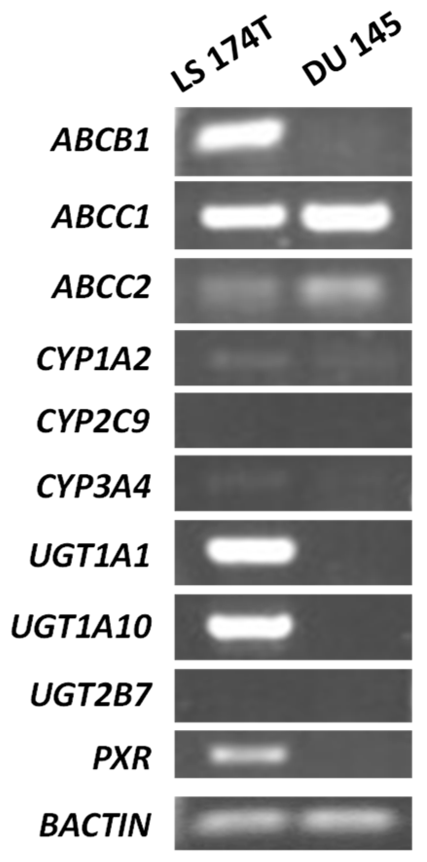 Molecules 29 05582 g002 Molecules 29 05582 g002