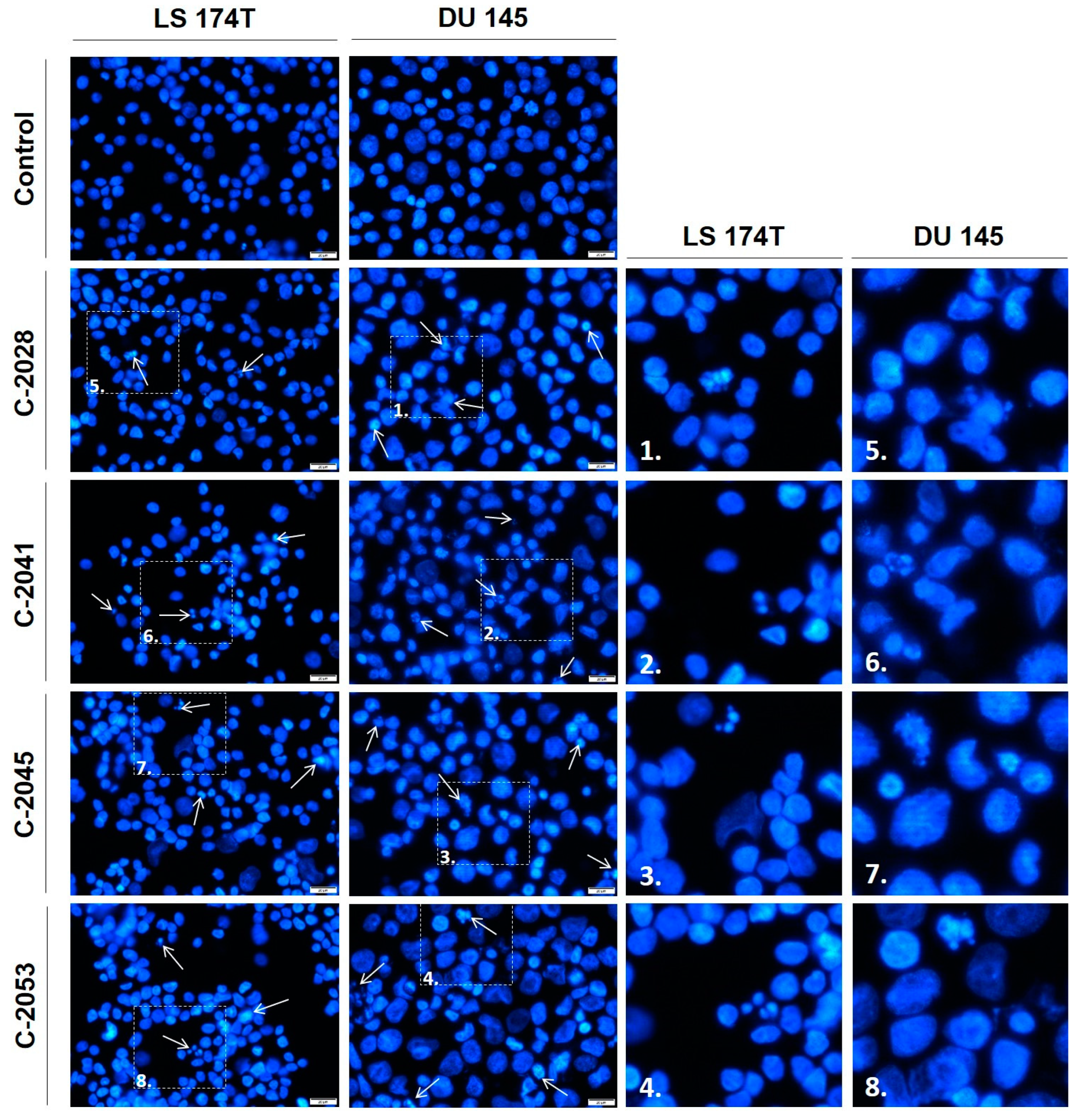 Molecules 29 05582 g008 Molecules 29 05582 g008