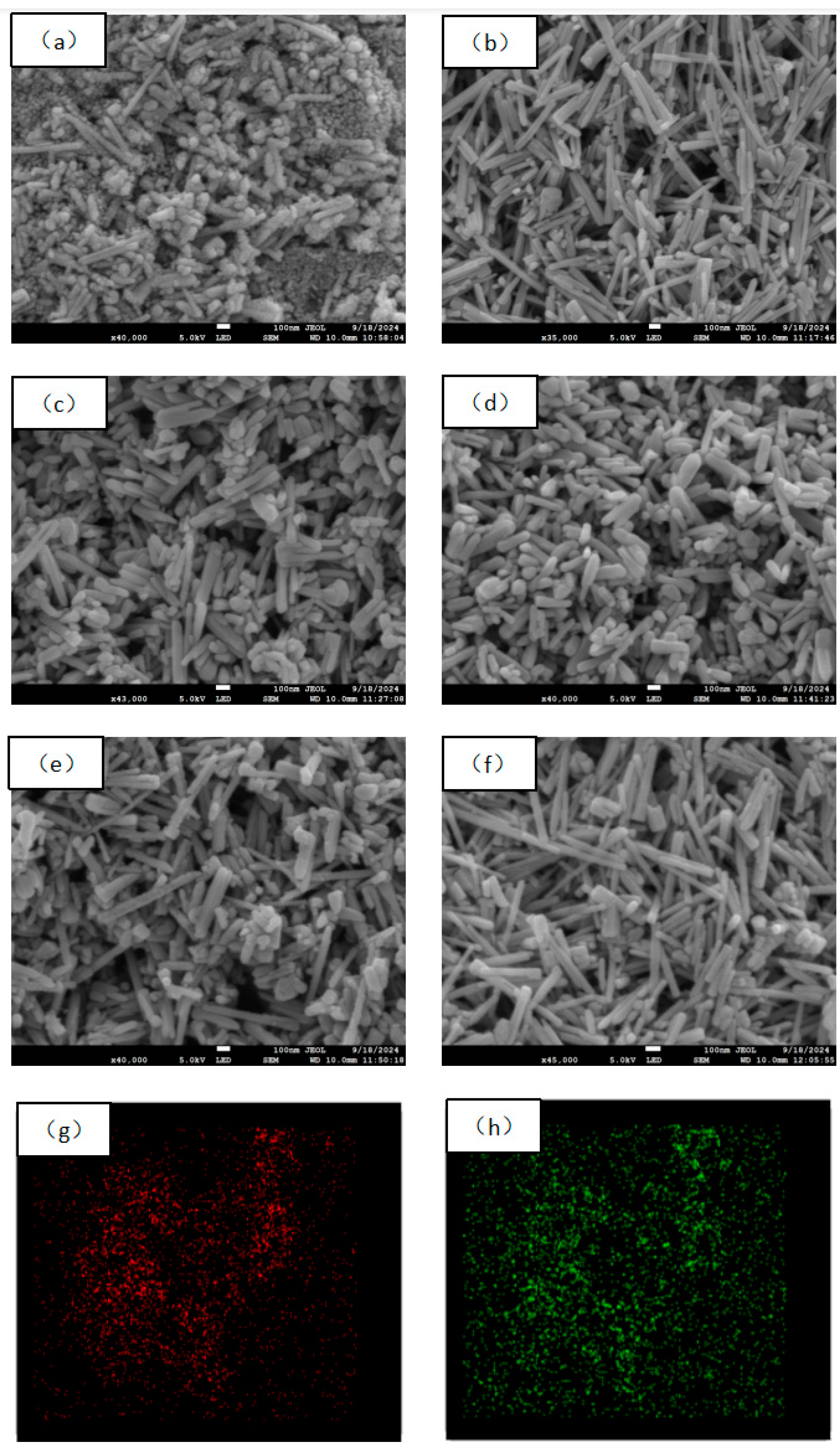 Molecules 29 05584 g002 Molecules 29 05584 g002