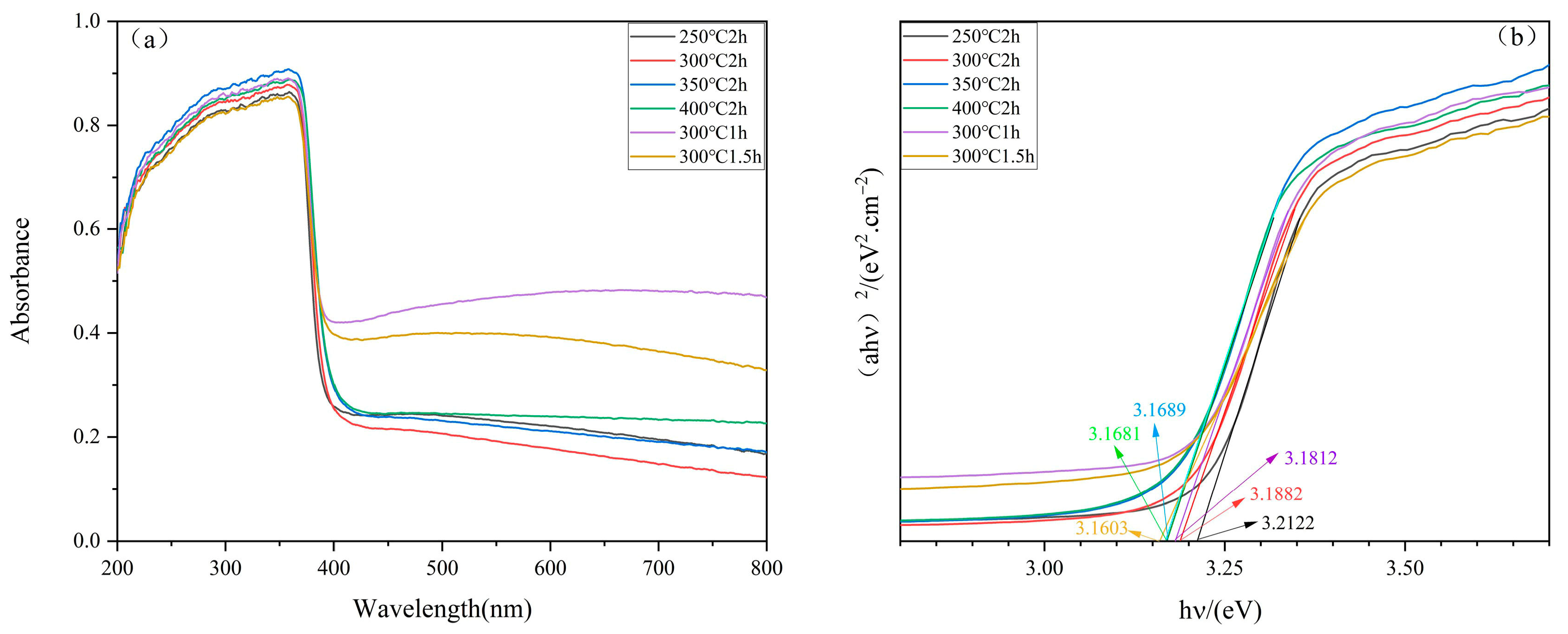 Molecules 29 05584 g004 Molecules 29 05584 g004