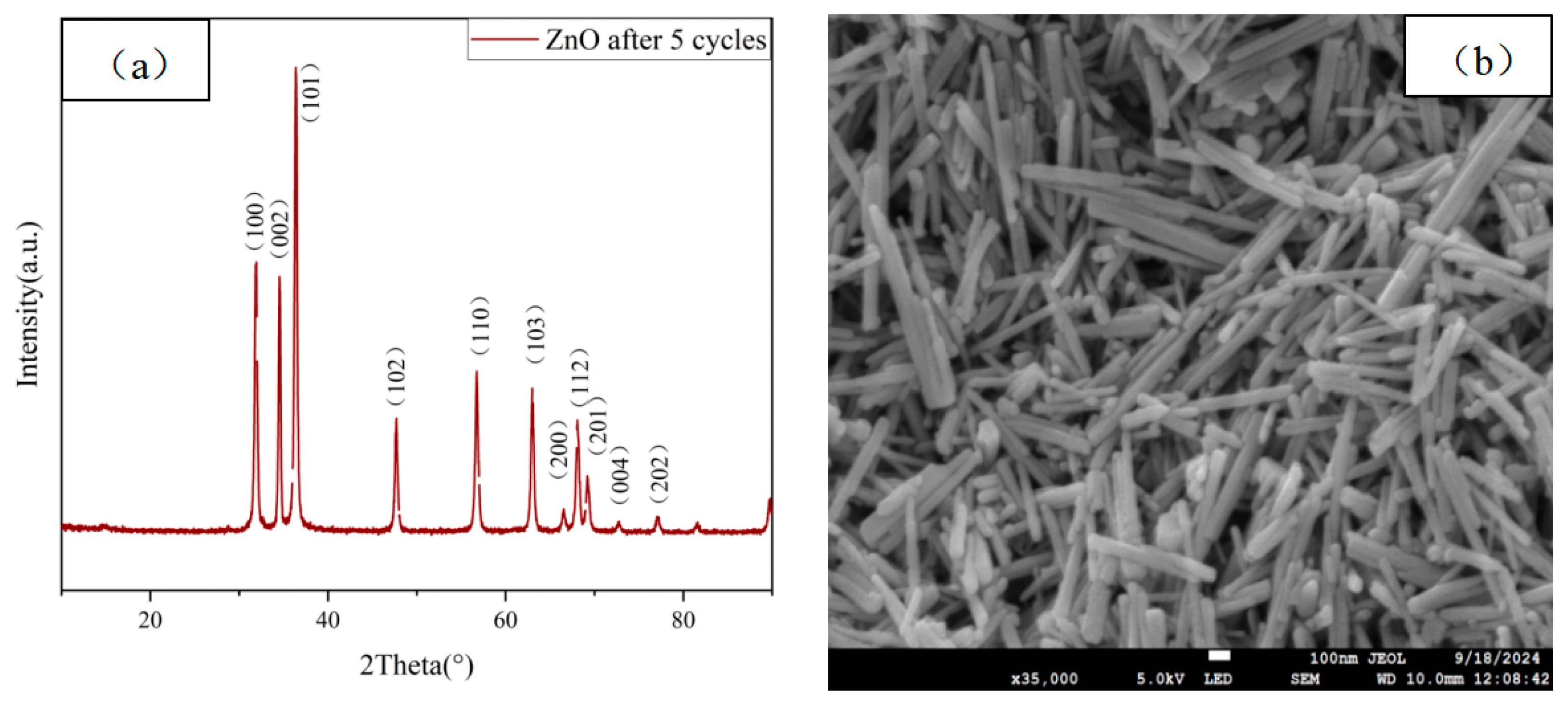 Molecules 29 05584 g012 Molecules 29 05584 g012
