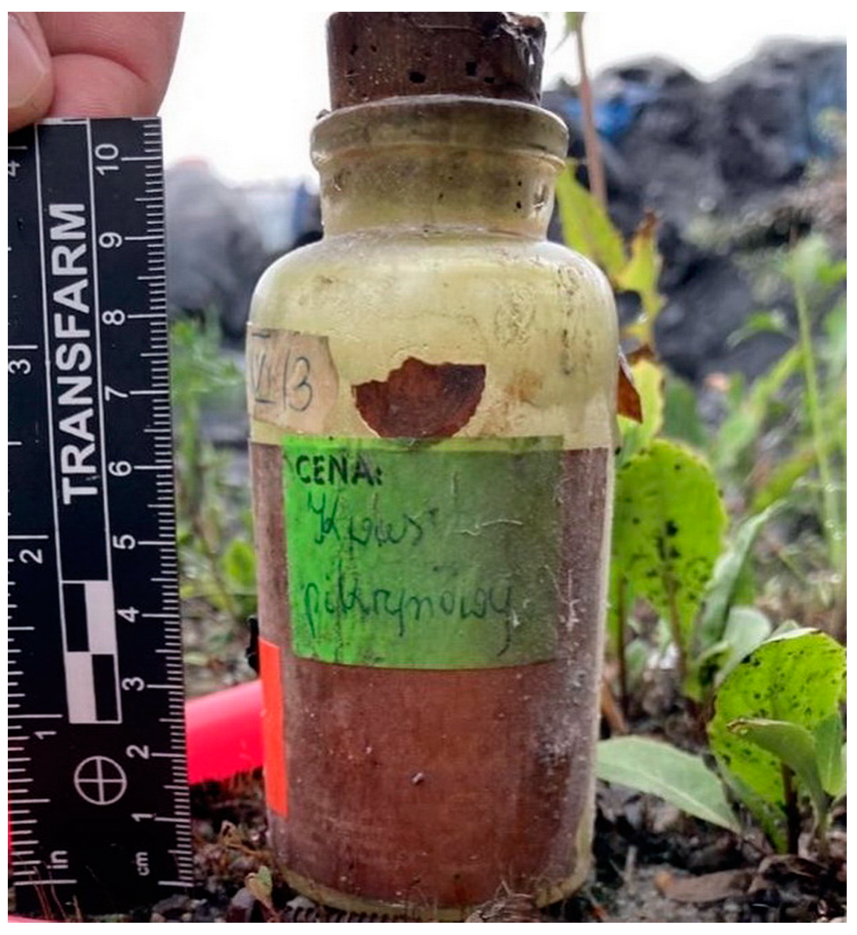 Molecules 29 05588 g005