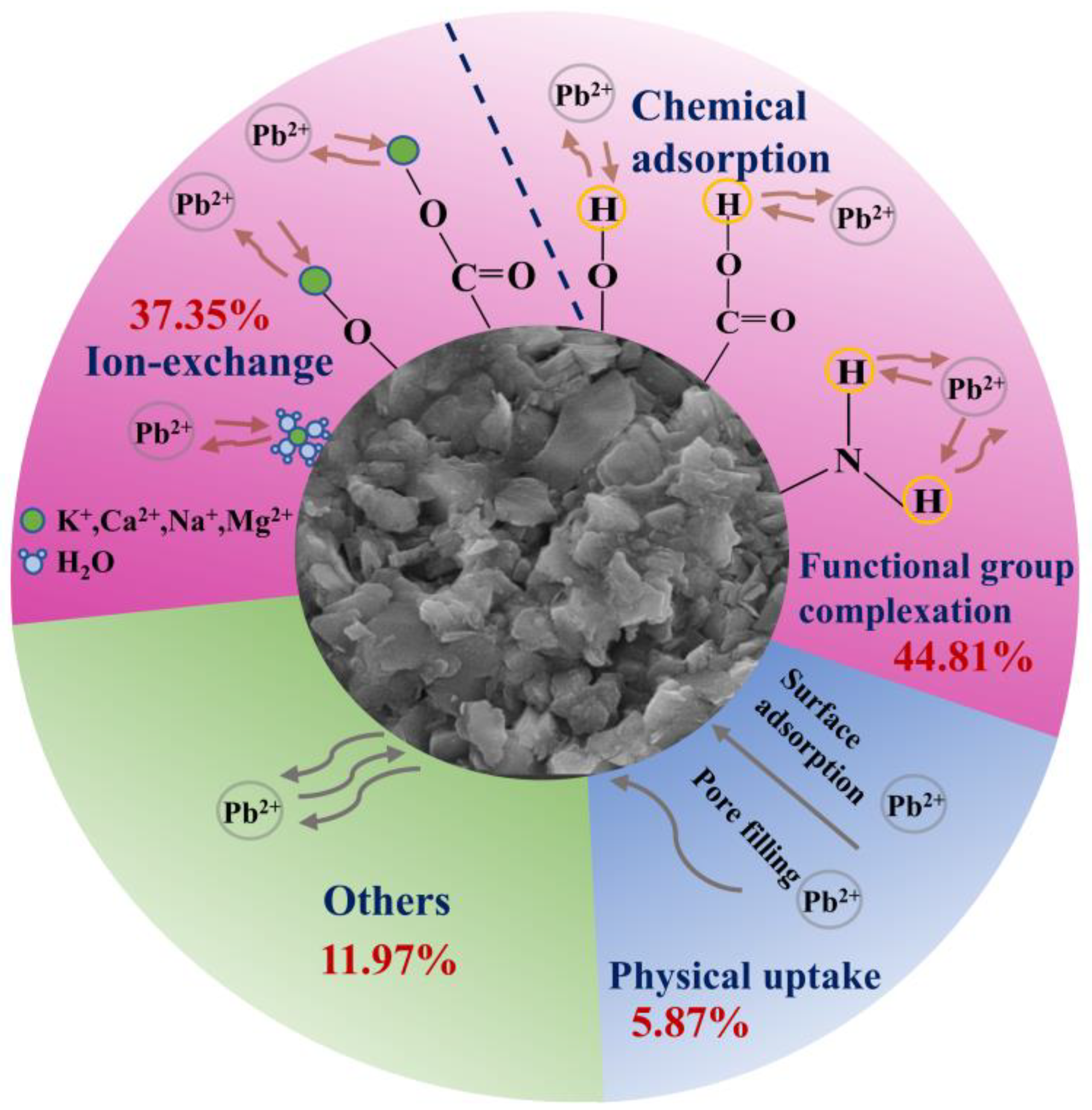Molecules 29 05589 g007