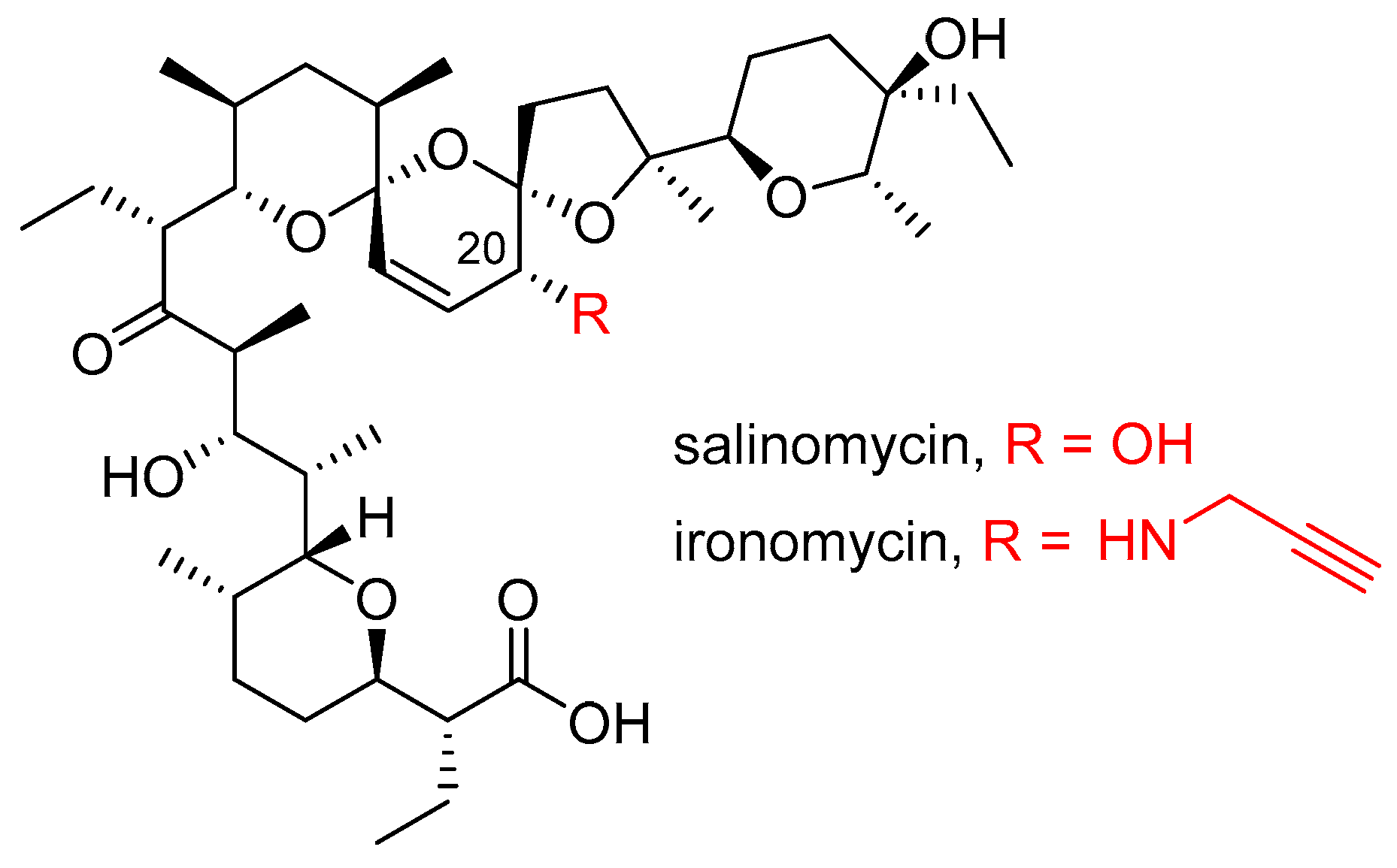 Molecules 29 05597 g001