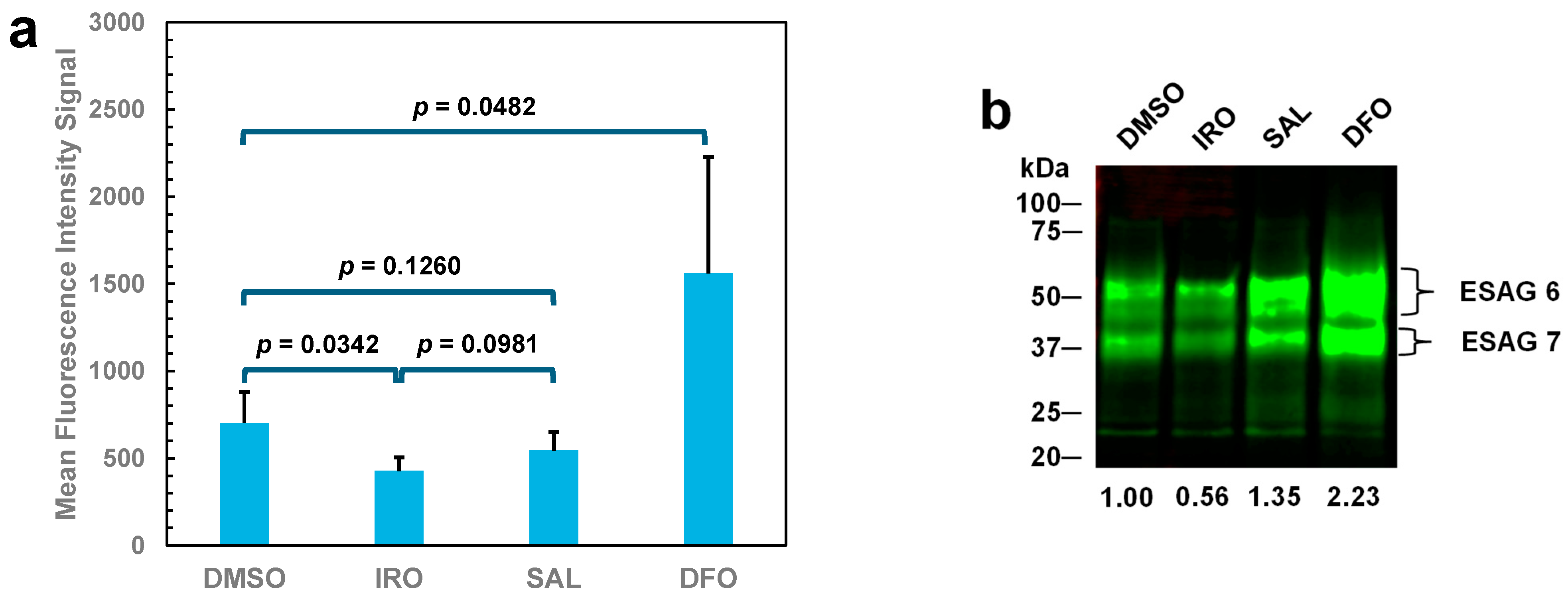 Molecules 29 05597 g004