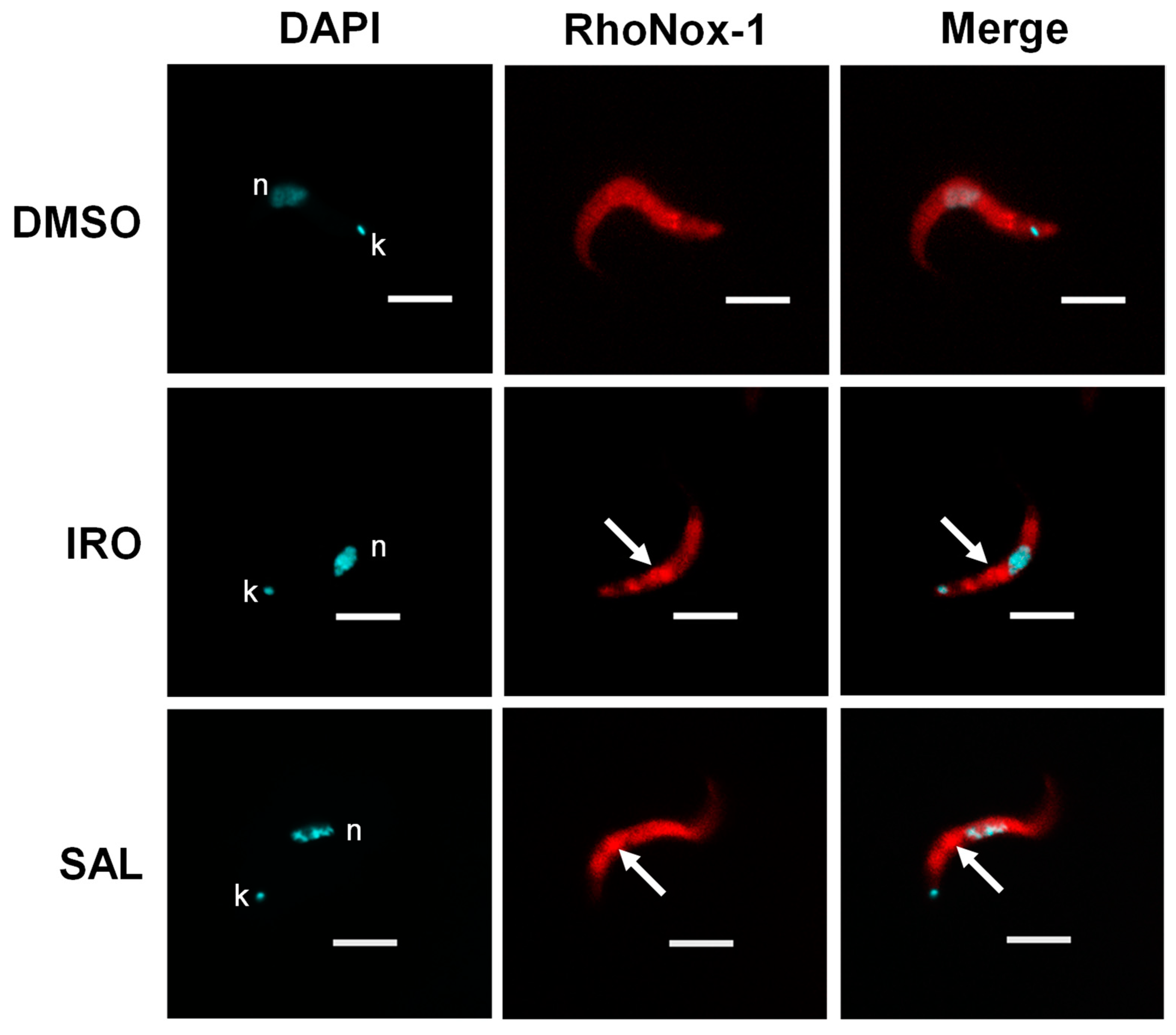 Molecules 29 05597 g007