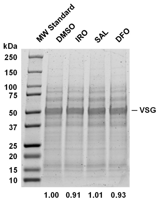 Molecules 29 05597 g0a3