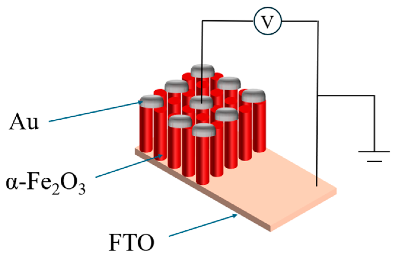 Molecules 29 05604 g002