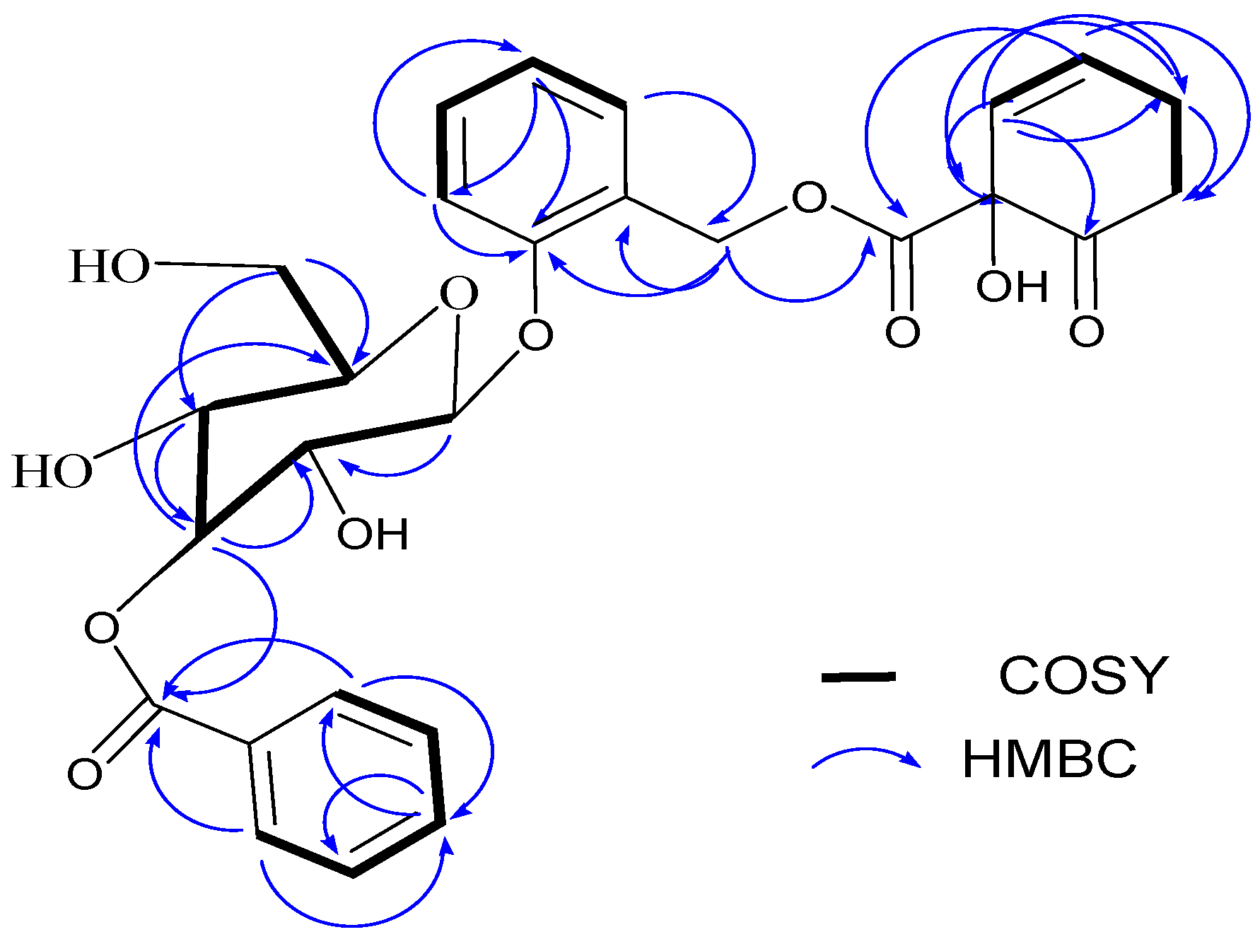 Molecules 29 05608 g003