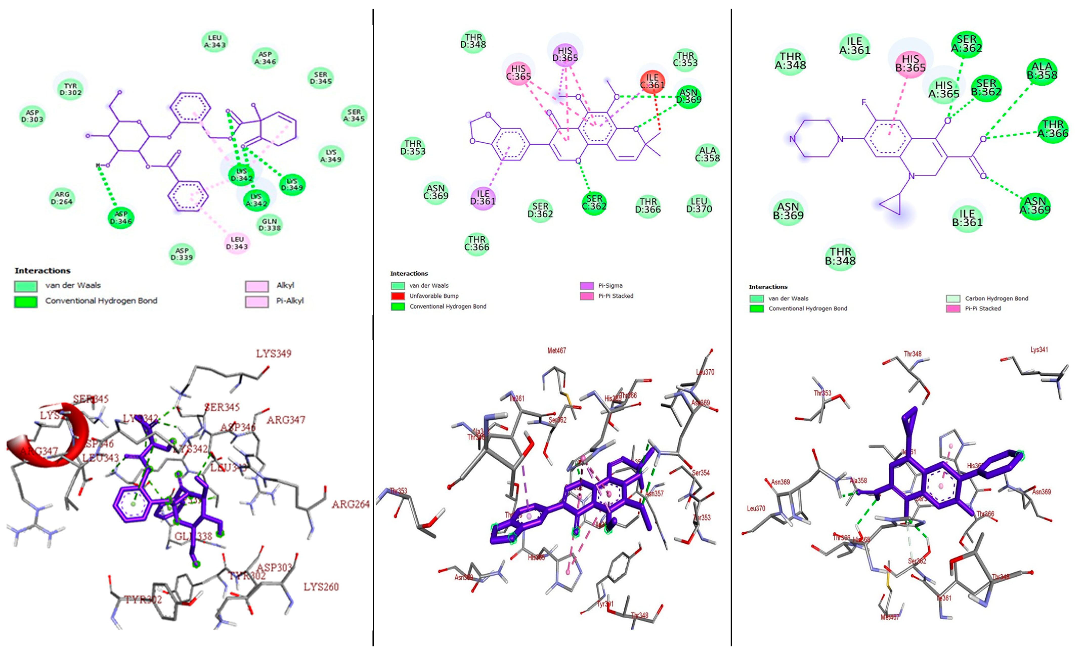 Molecules 29 05608 g004