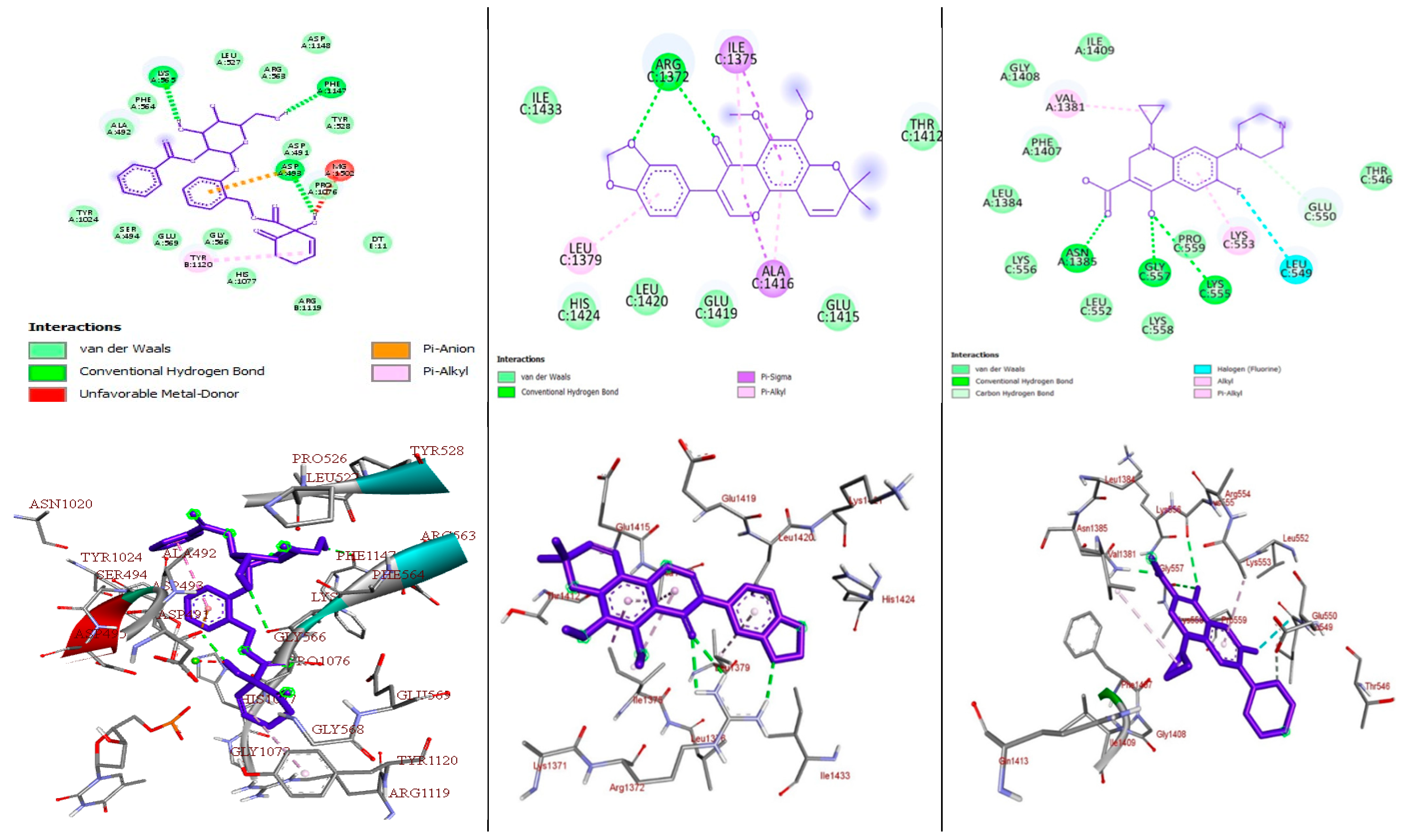 Molecules 29 05608 g006