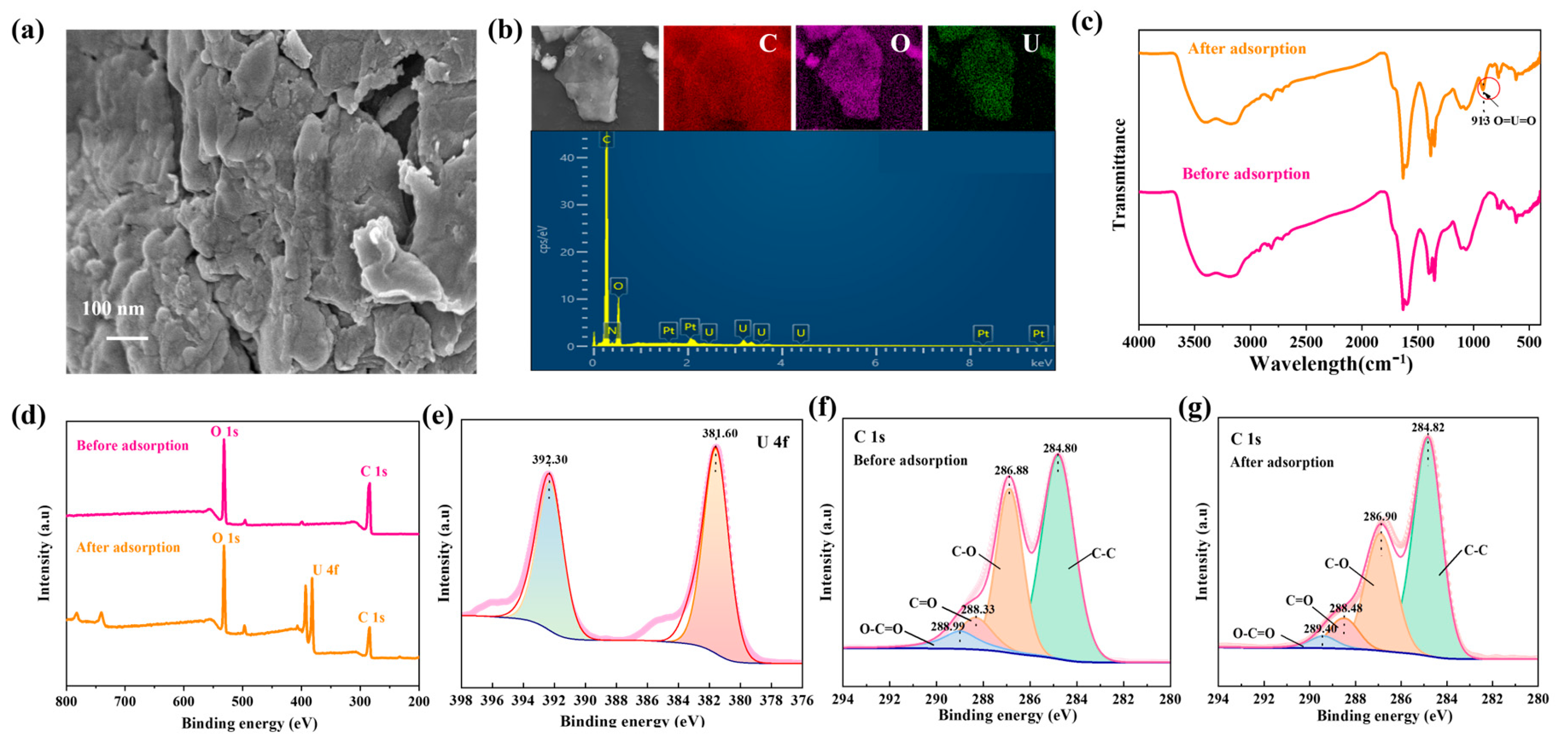 Molecules 29 05614 g007
