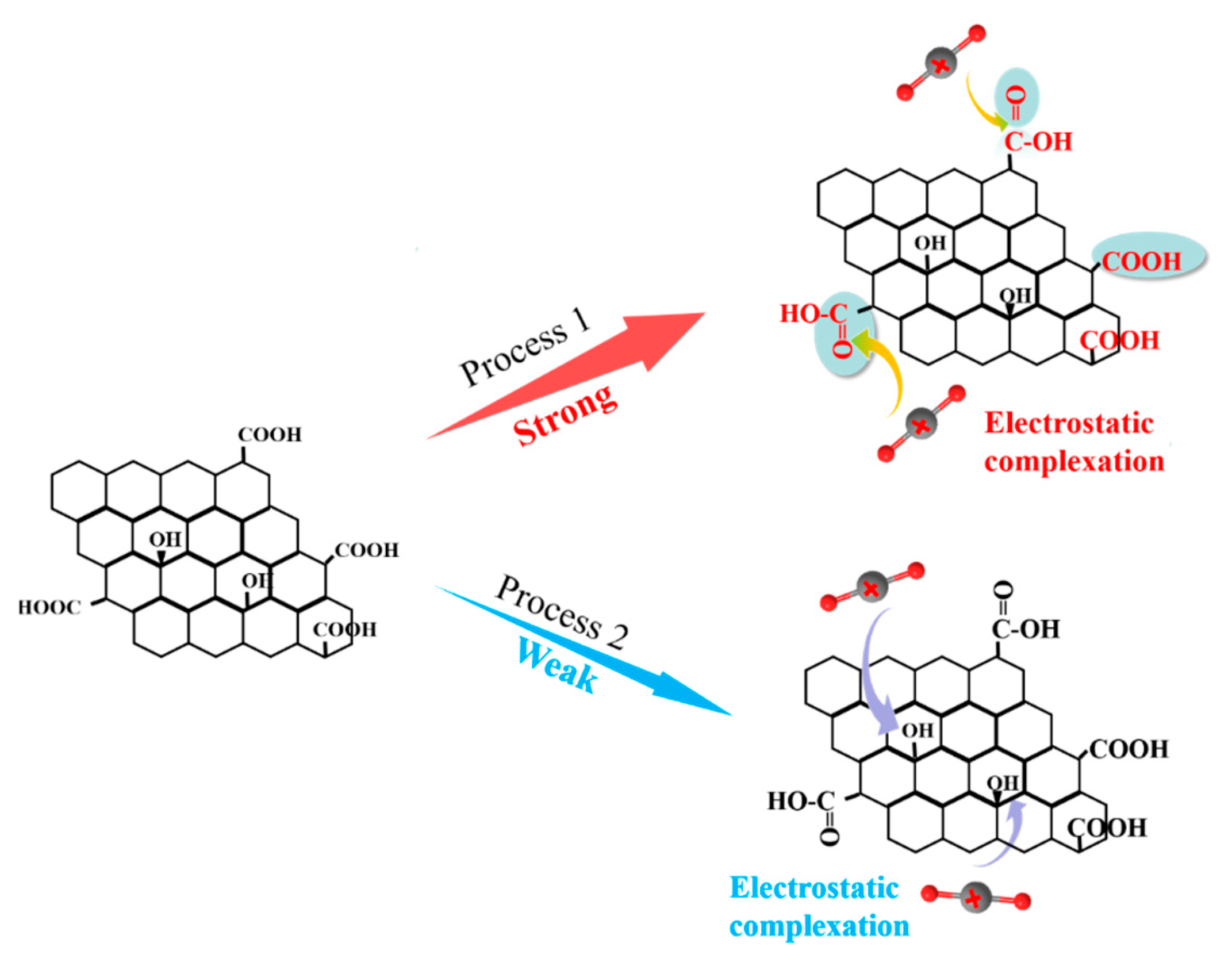 Molecules 29 05614 g008