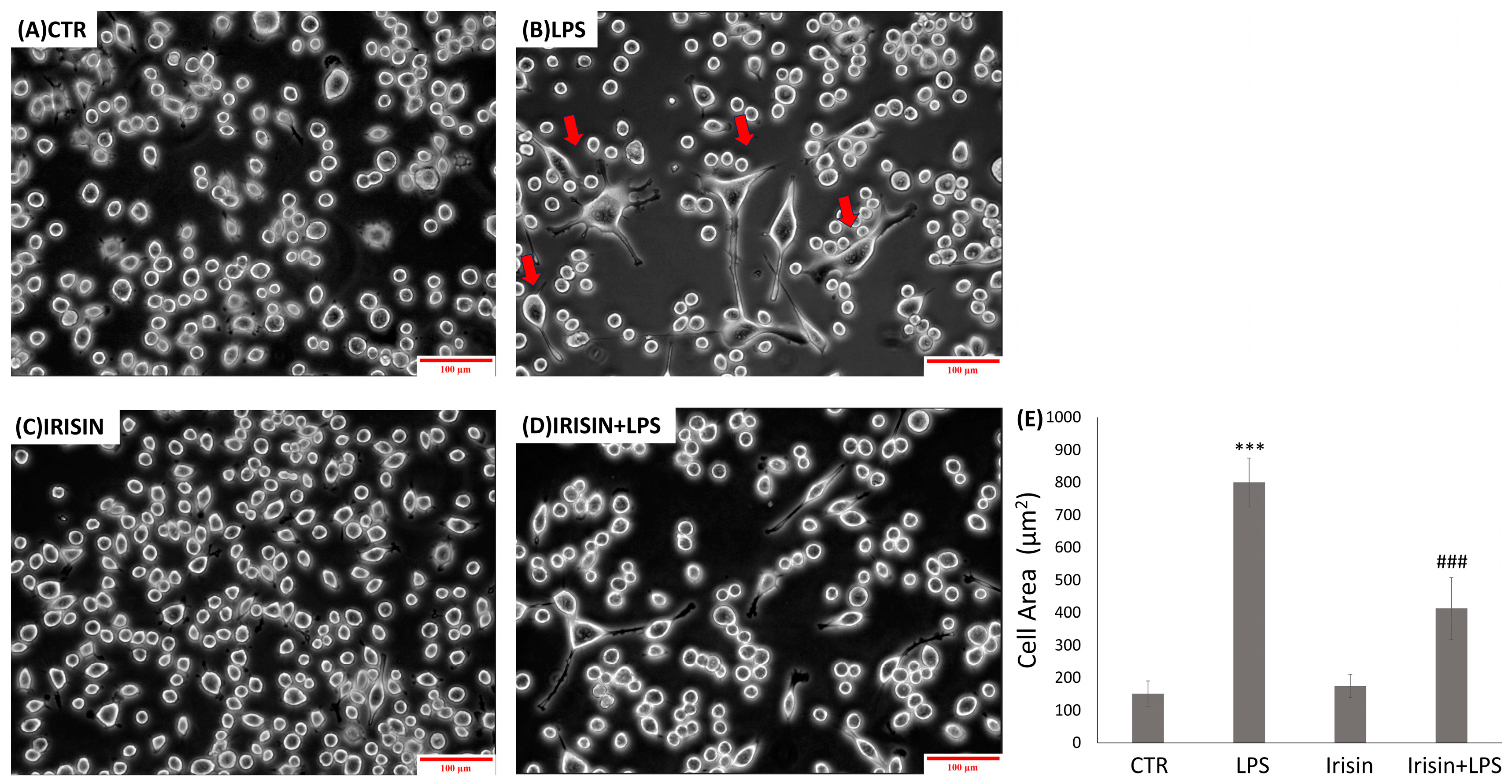 Molecules 29 05623 g002