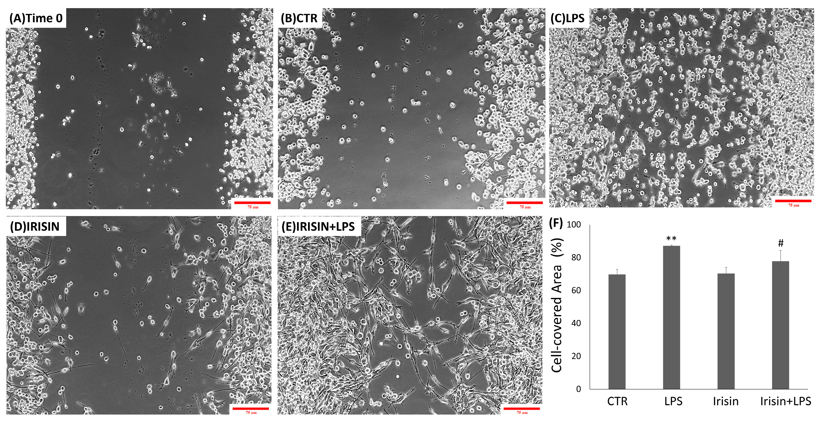 Molecules 29 05623 g003