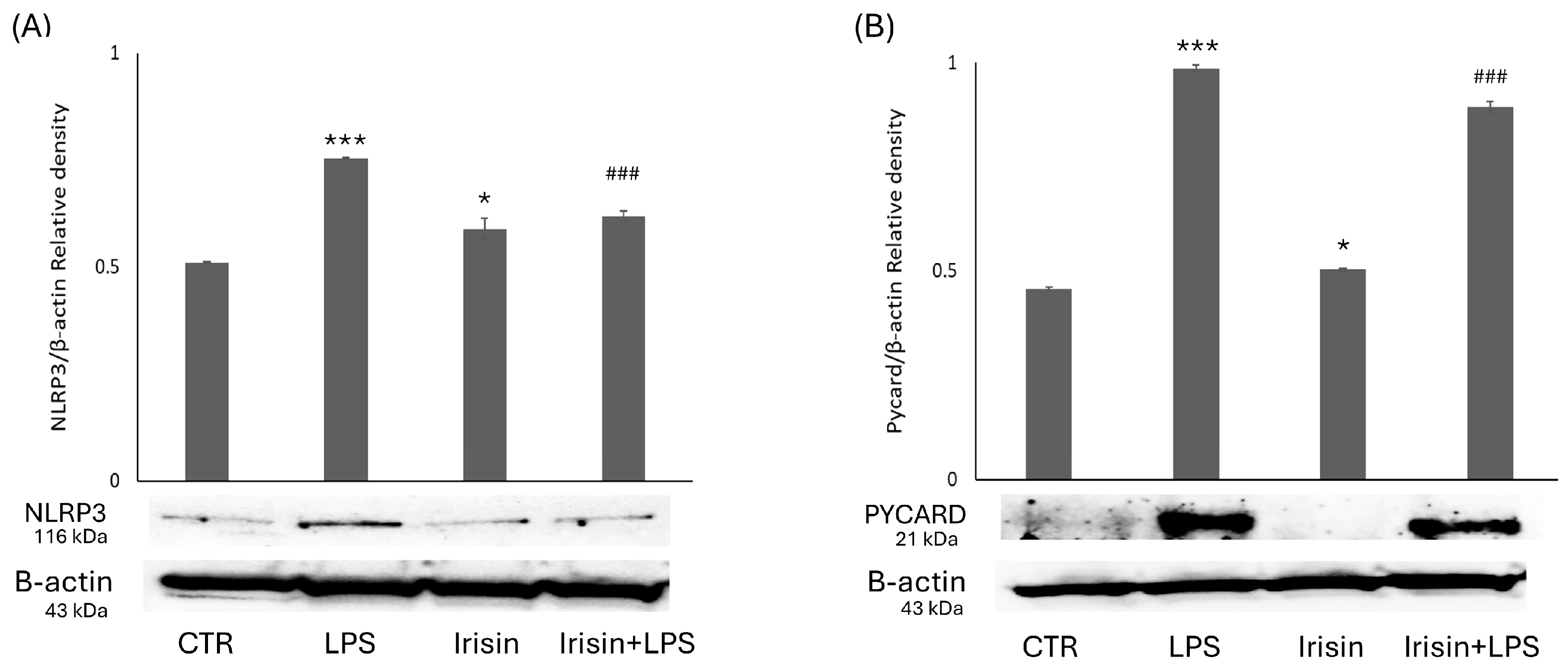 Molecules 29 05623 g004