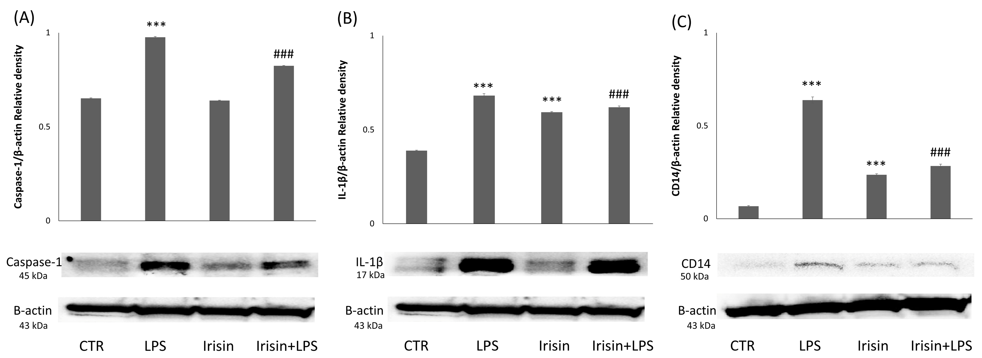 Molecules 29 05623 g005
