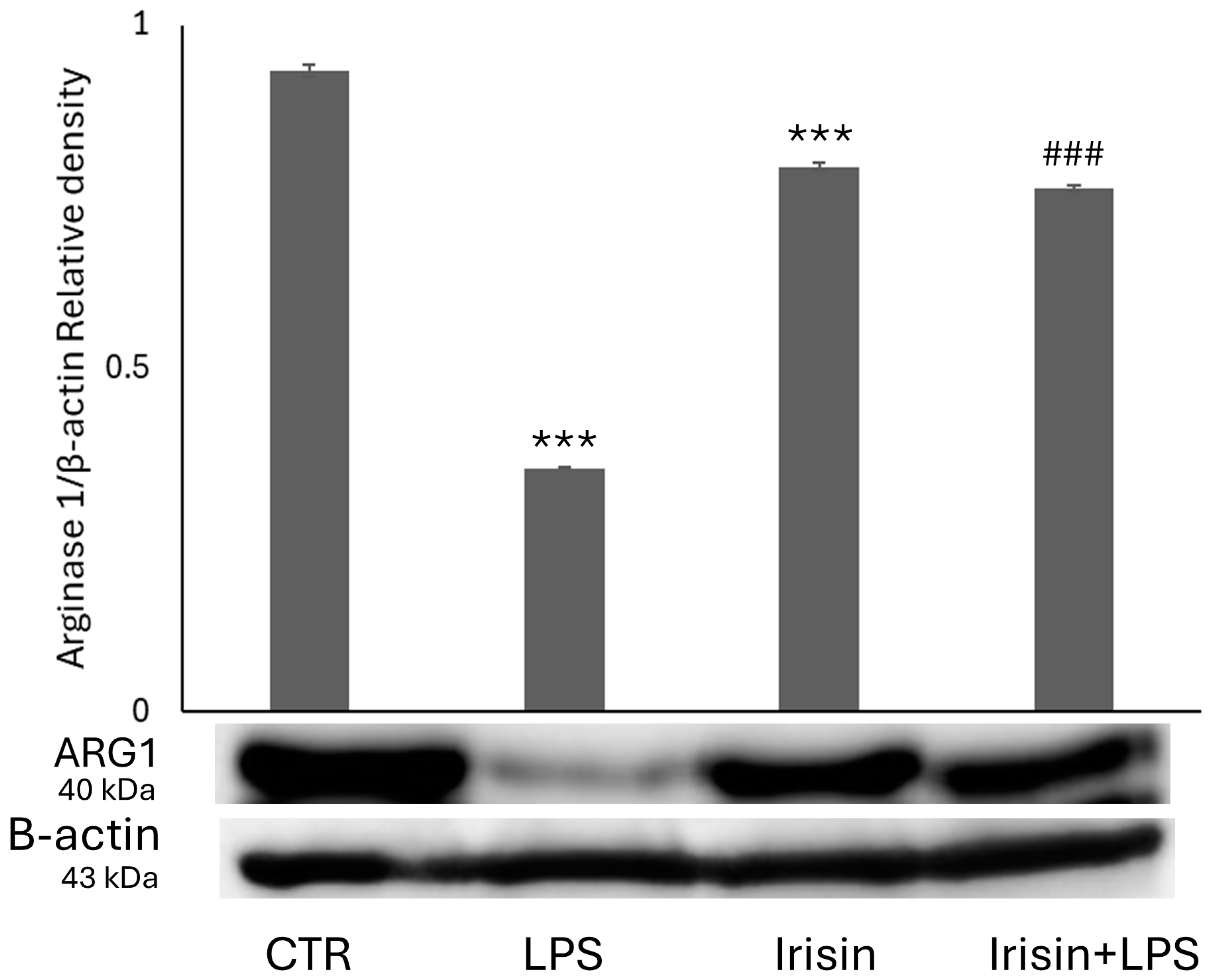 Molecules 29 05623 g006