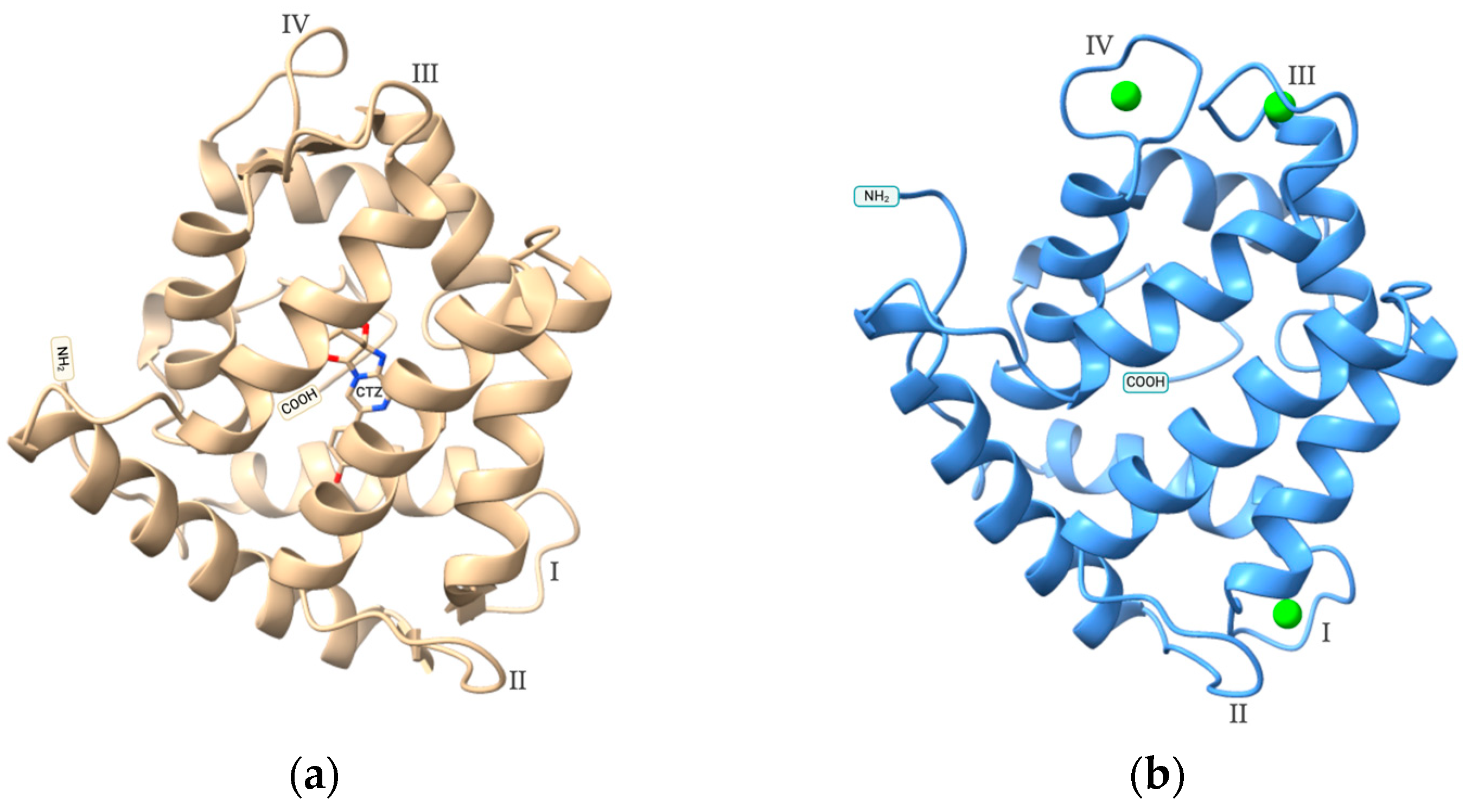 Molecules 29 05627 g001
