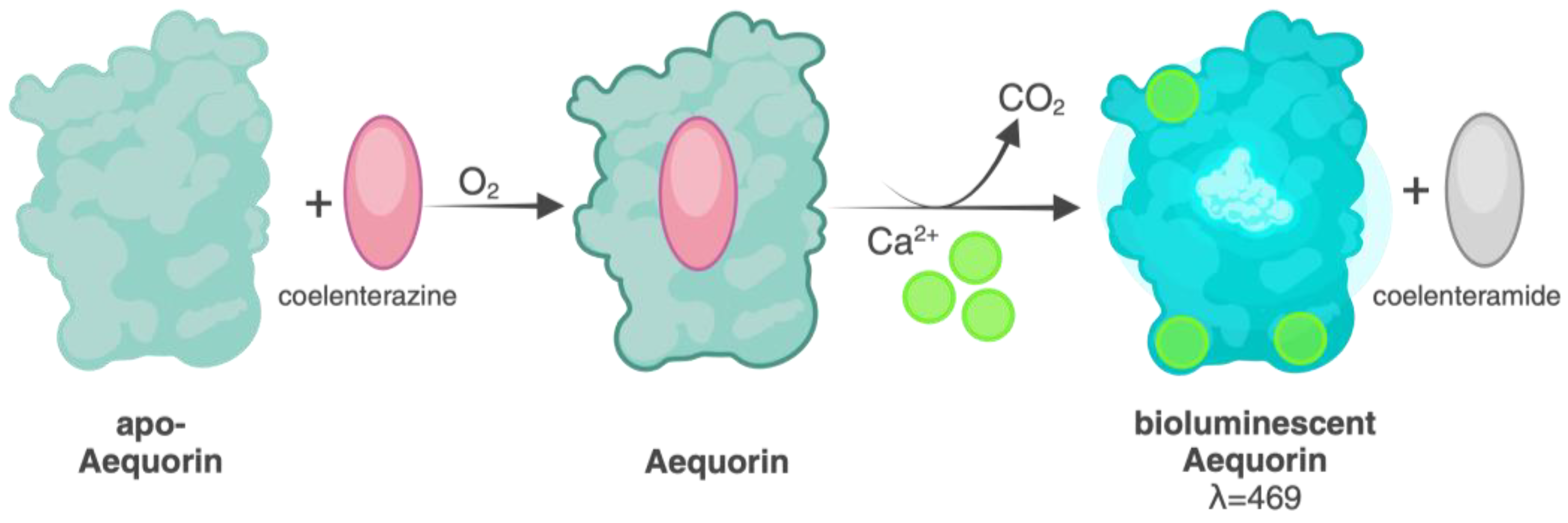 Molecules 29 05627 g002