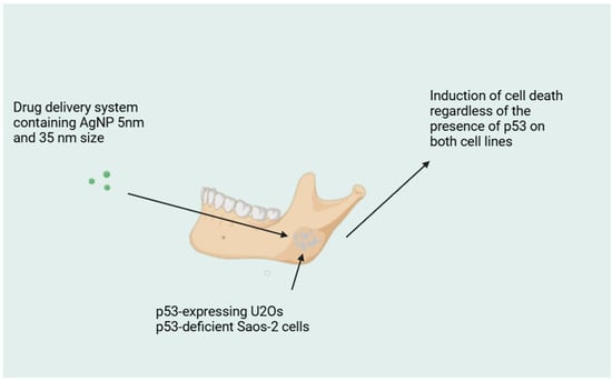 Molecules 29 05628 g003