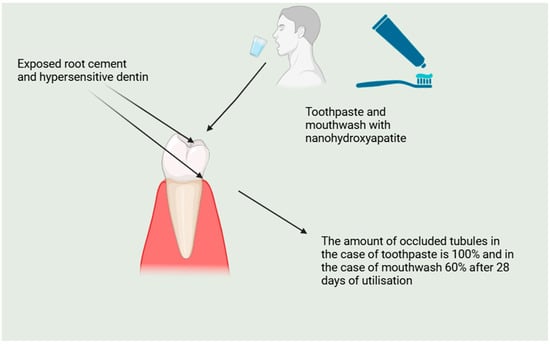 Molecules 29 05628 g004