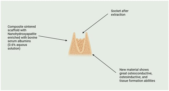 Molecules 29 05628 g005