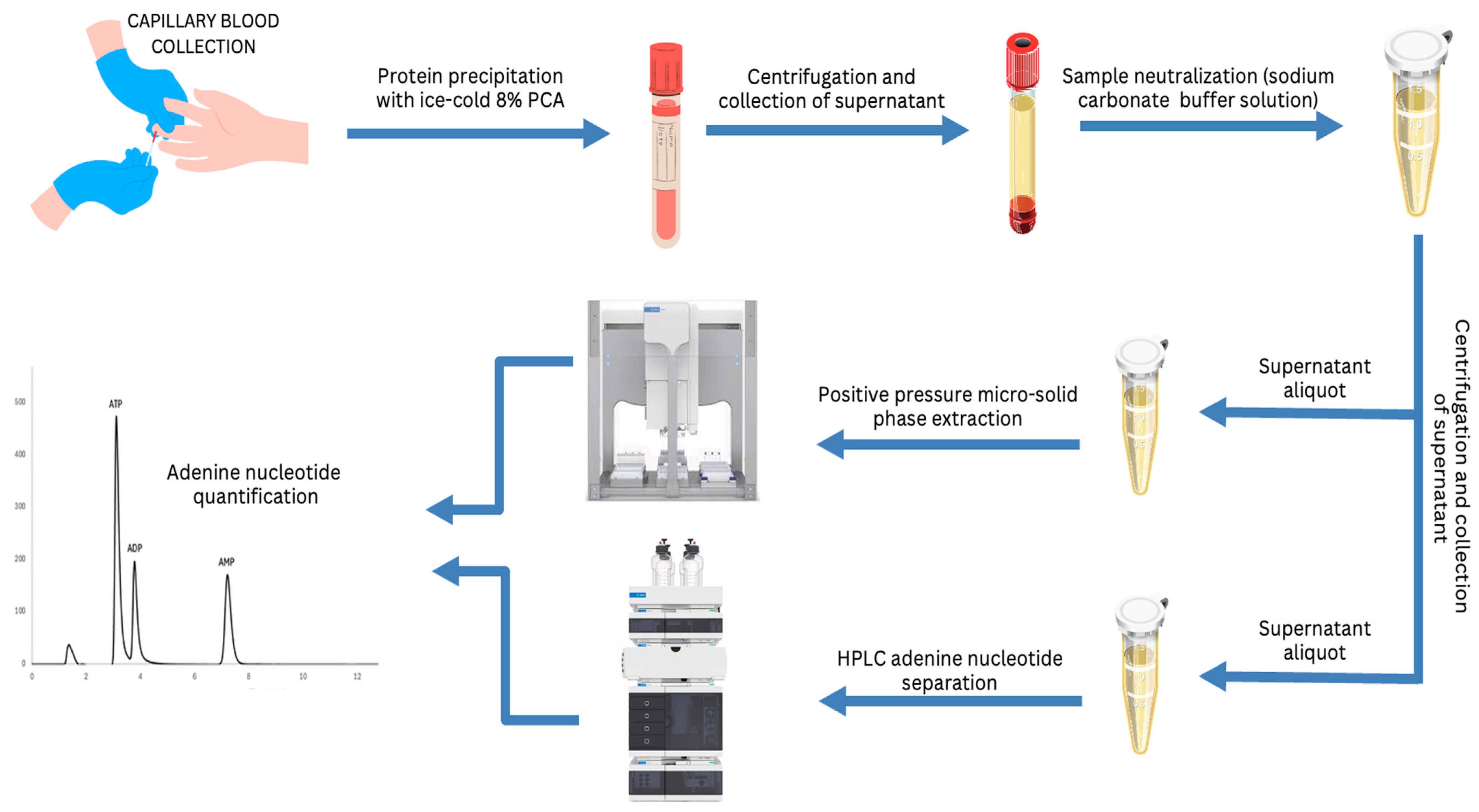 Molecules 29 05630 g004