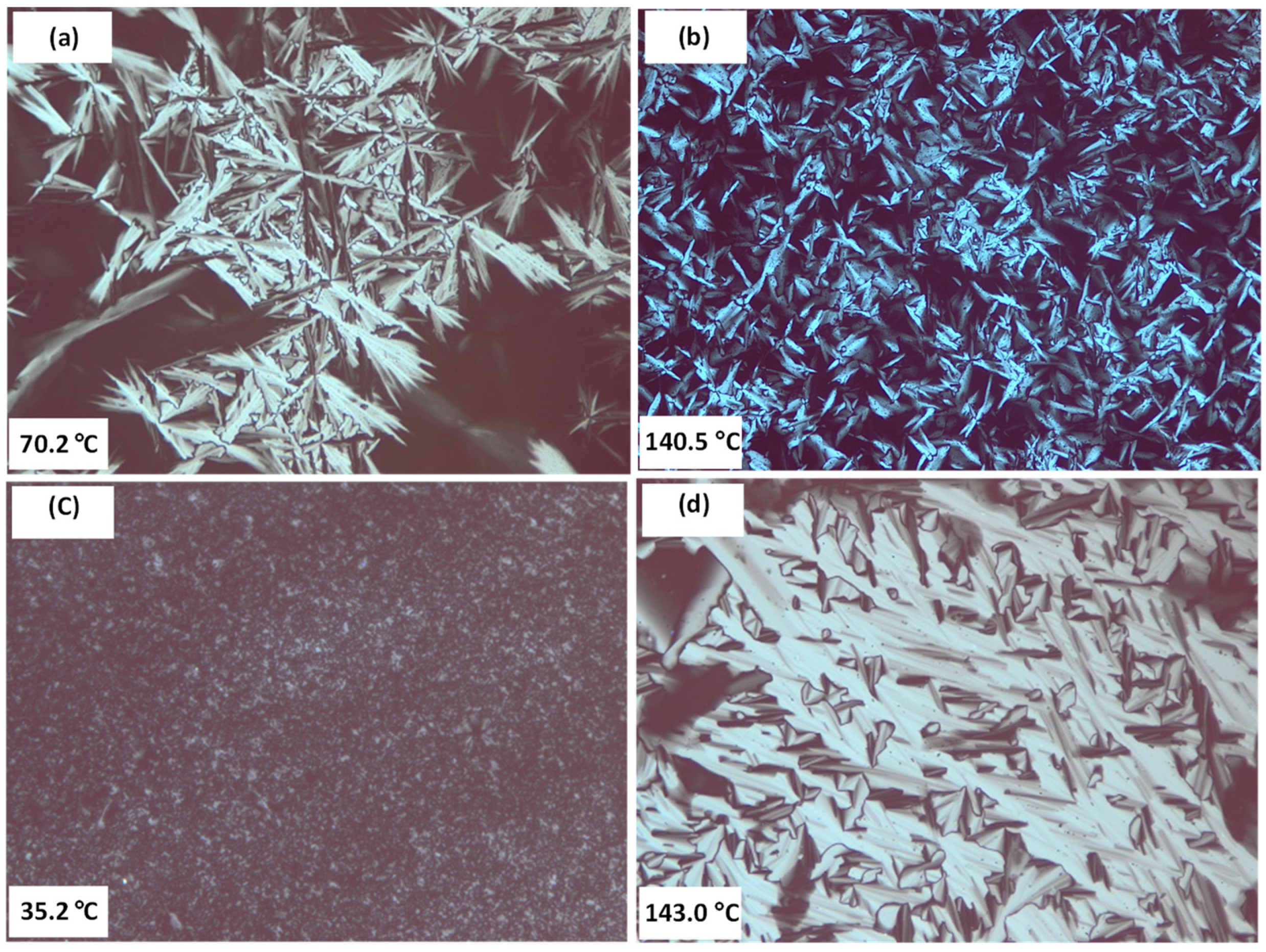 Molecules 29 05633 g004
