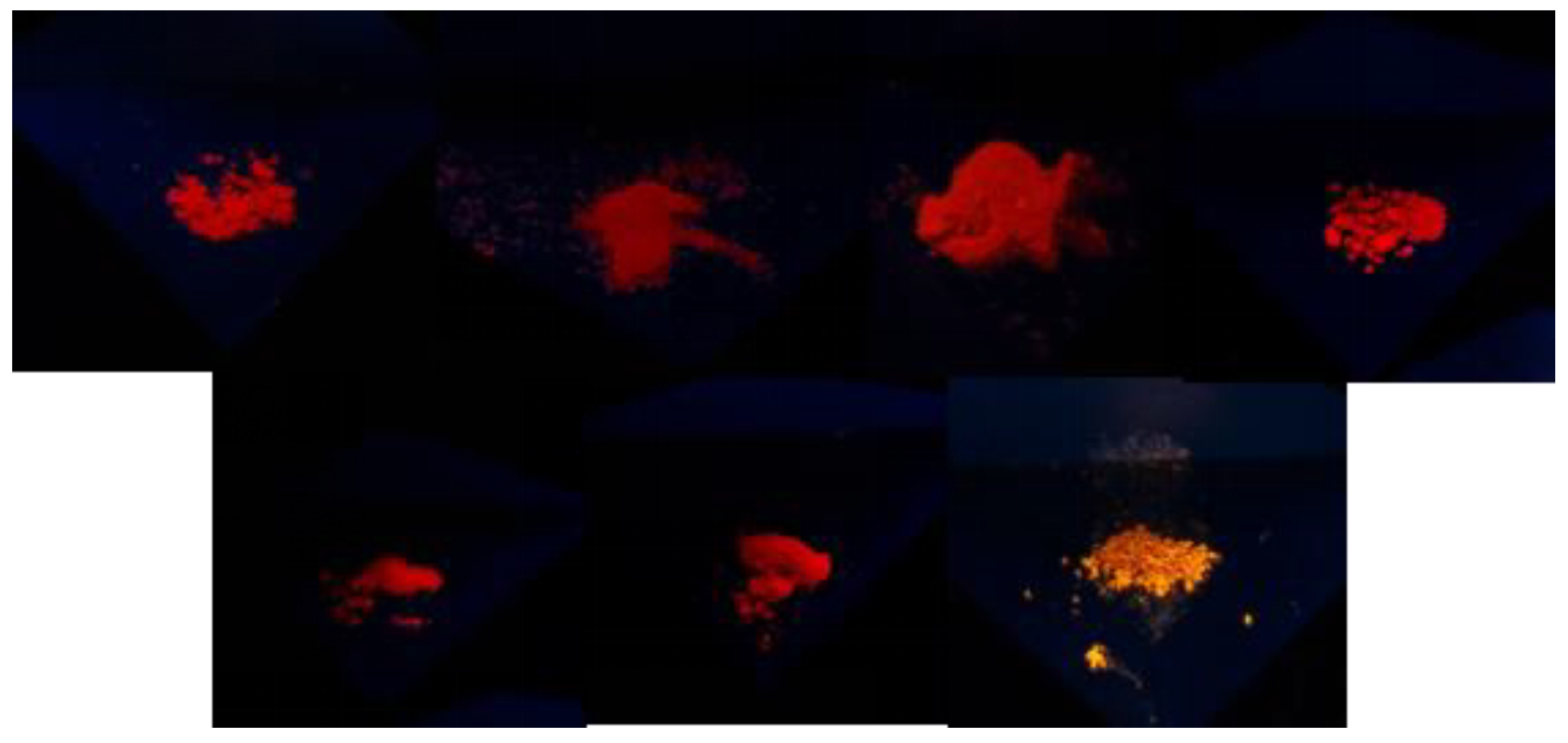 Molecules 29 05639 g002