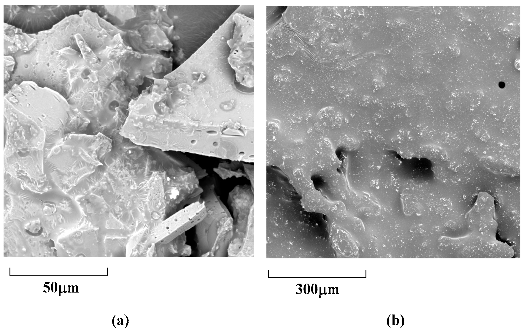 Molecules 29 05641 g009