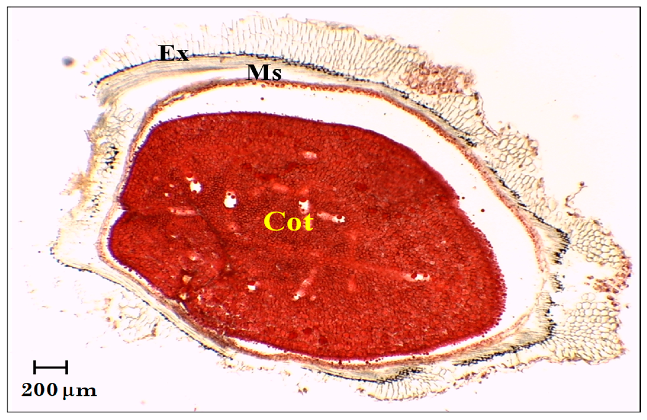 Molecules 29 05651 g003 Molecules 29 05651 g003