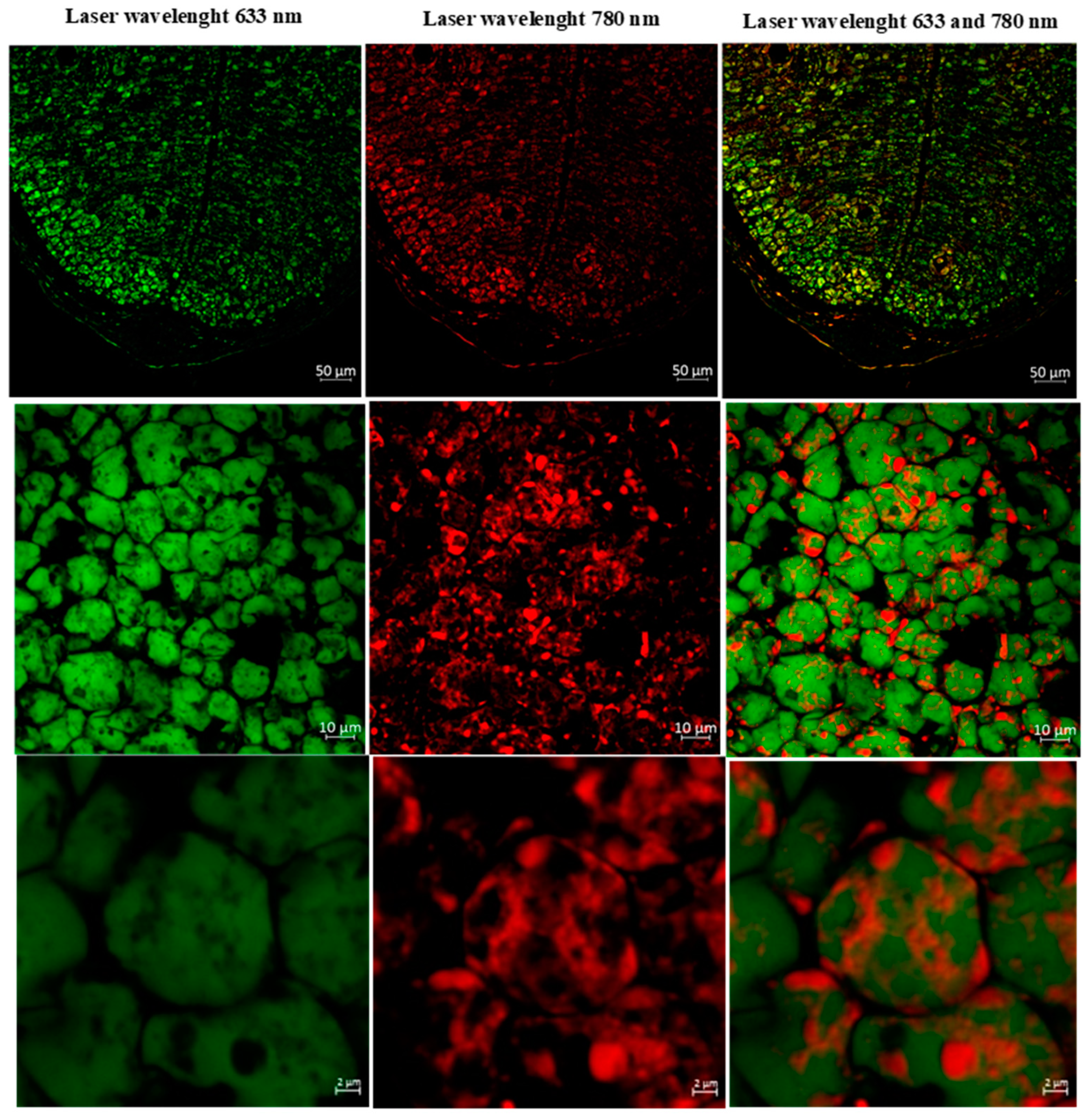 Molecules 29 05651 g005 Molecules 29 05651 g005