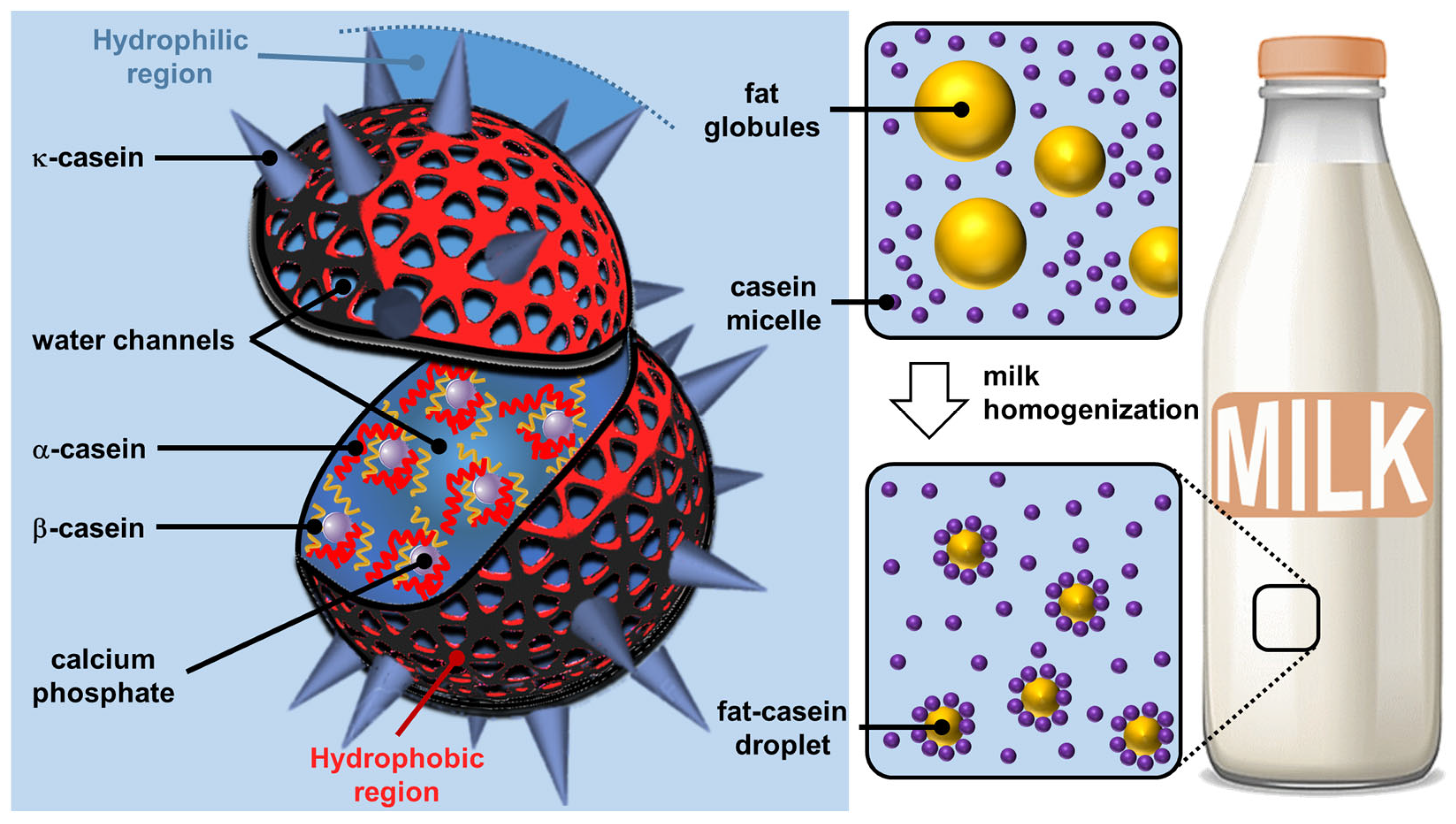 Molecules 29 05657 g002 Molecules 29 05657 g002