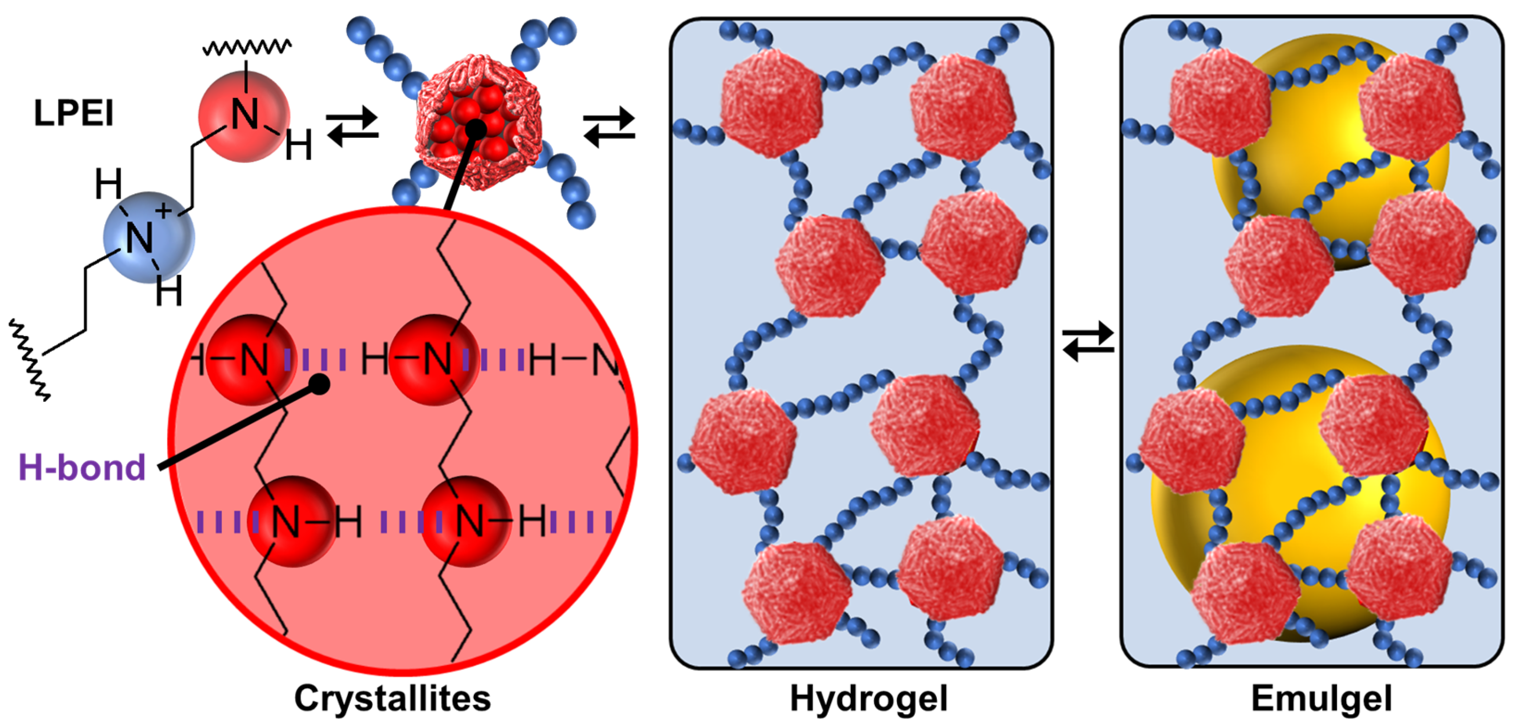 Molecules 29 05657 g008 Molecules 29 05657 g008