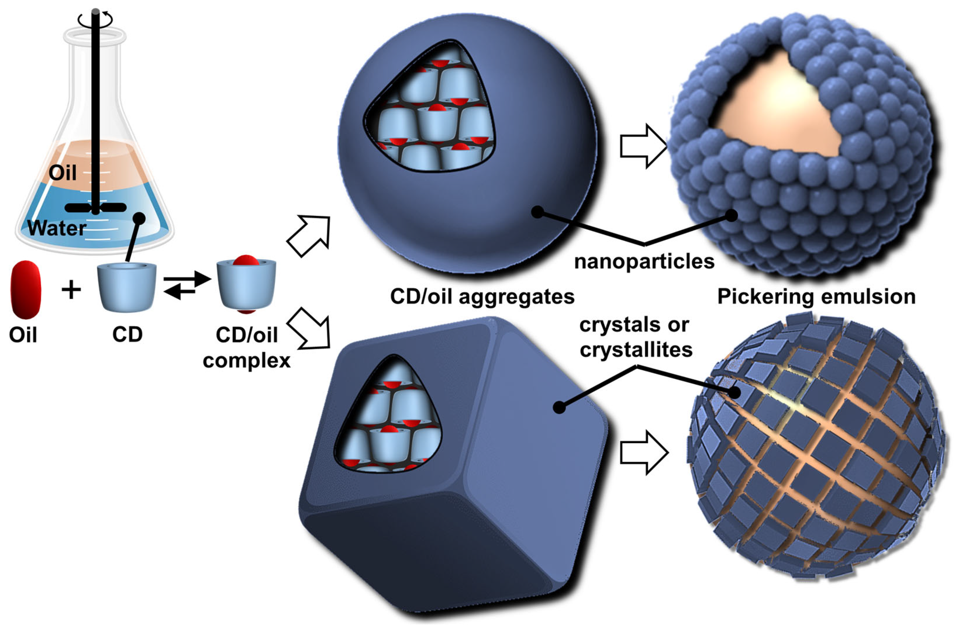 Molecules 29 05657 g013 Molecules 29 05657 g013