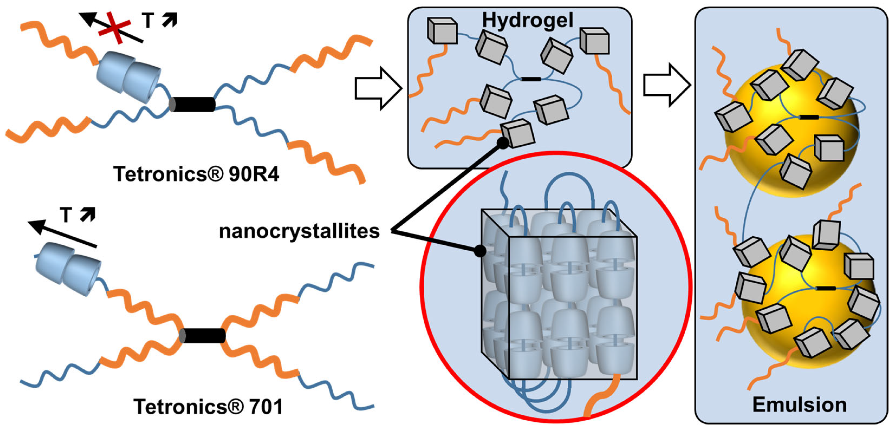 Molecules 29 05657 g014 Molecules 29 05657 g014