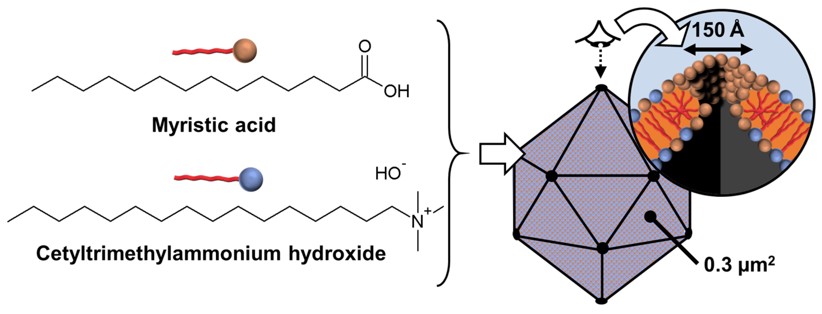 Molecules 29 05657 g017 Molecules 29 05657 g017