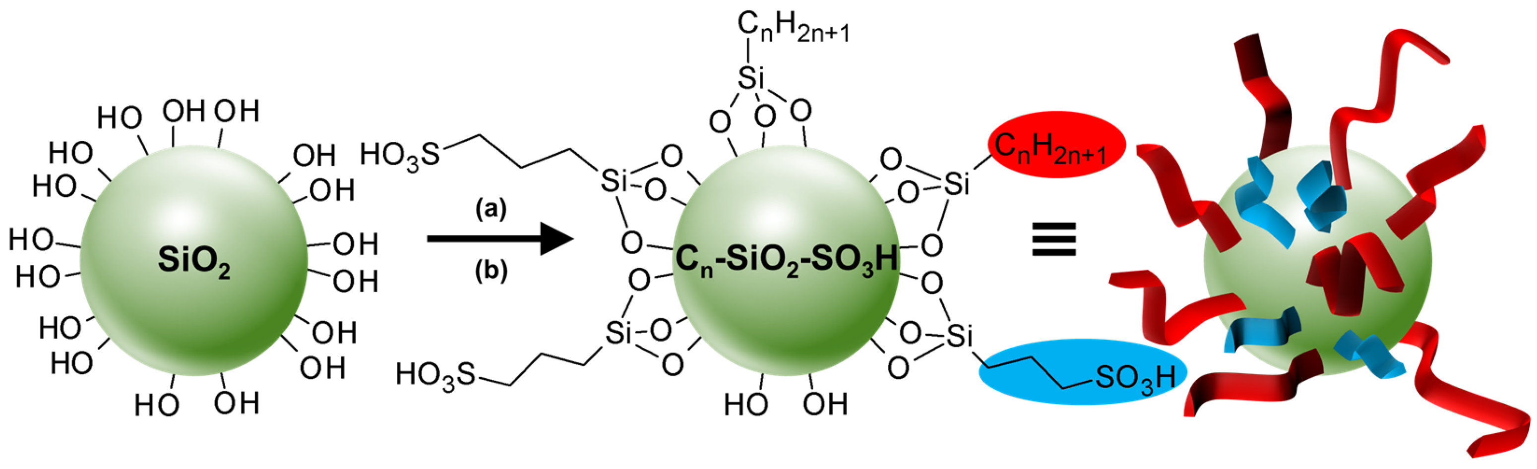 Molecules 29 05657 g021 Molecules 29 05657 g021