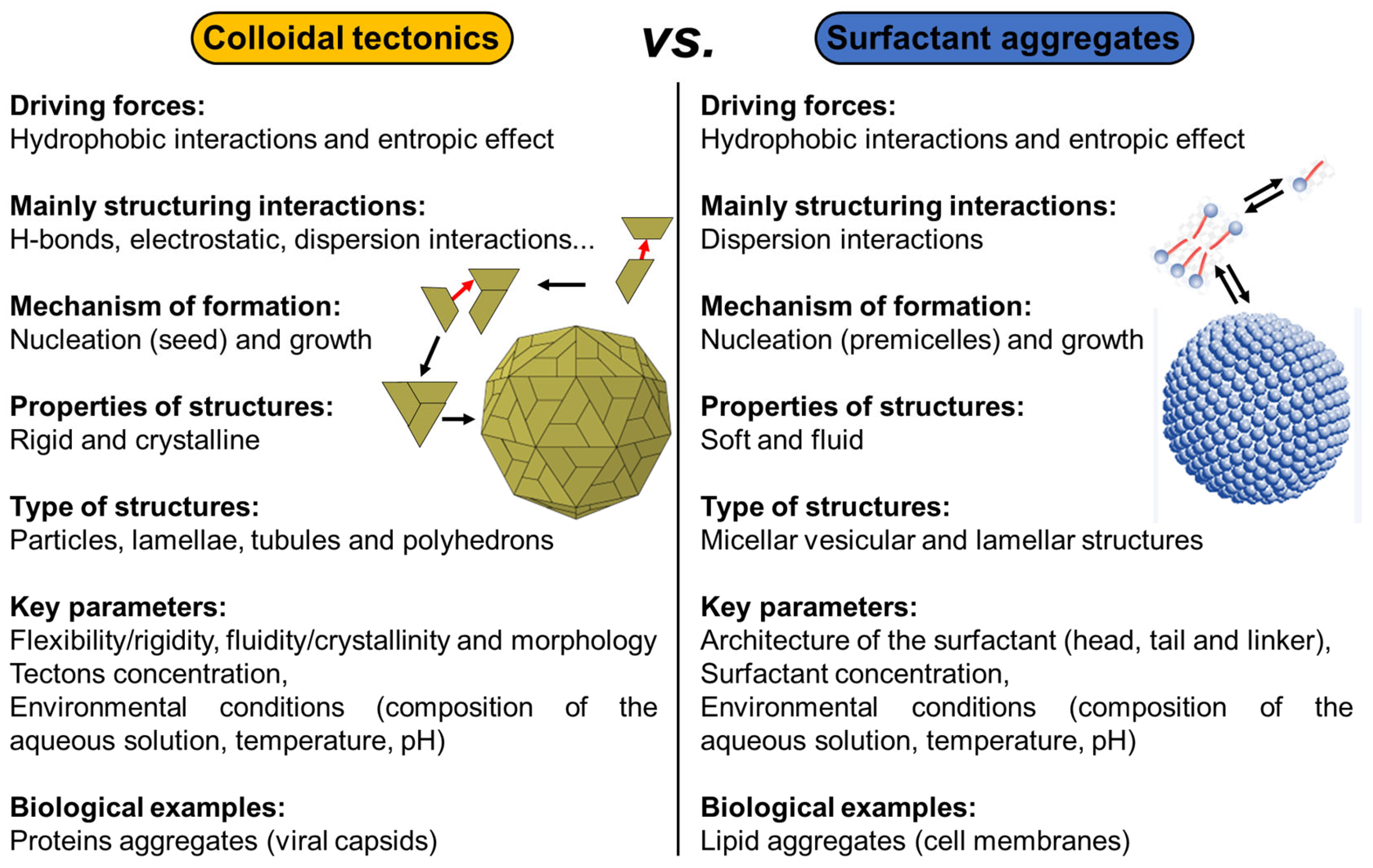 Molecules 29 05657 g024 Molecules 29 05657 g024