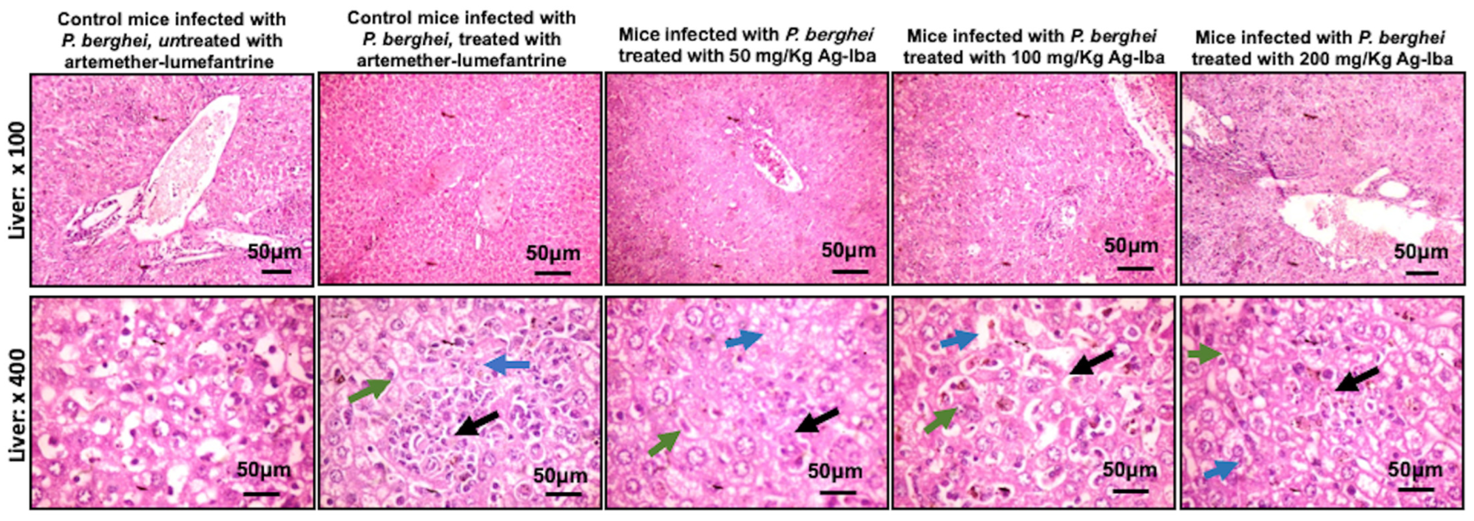 Molecules 29 05658 g010